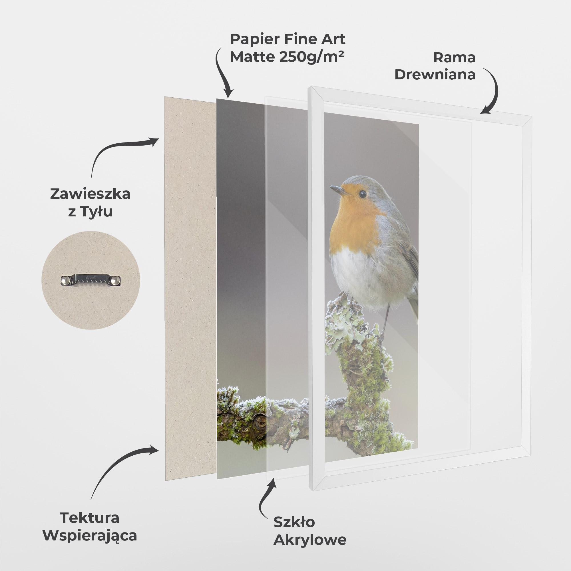 Plakat w Ramie Erithacus Bird mockup 1