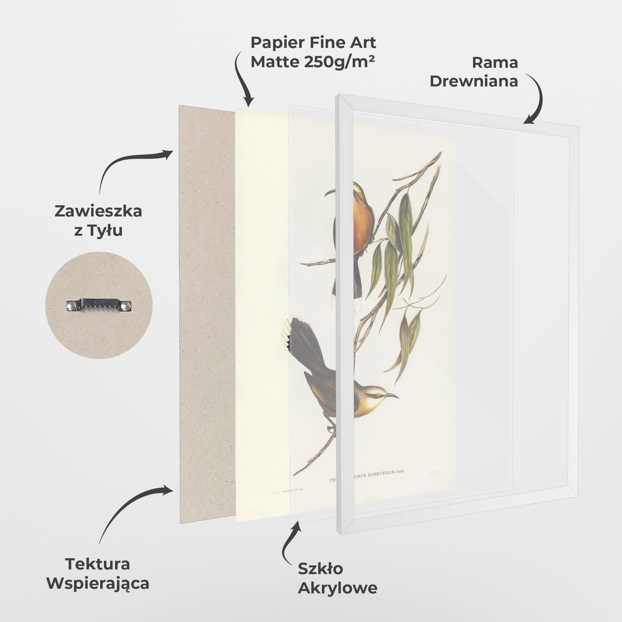 Plakat w Ramie Red Pomatorhinus mockup 1