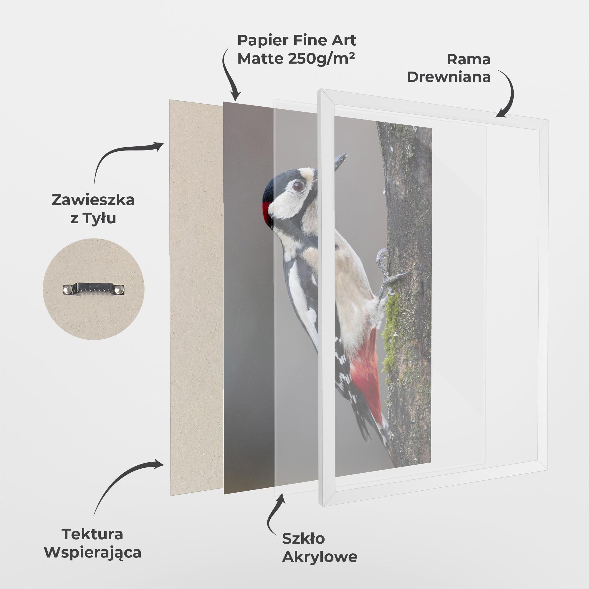 Plakat w Ramie Woodpecker mockup 1