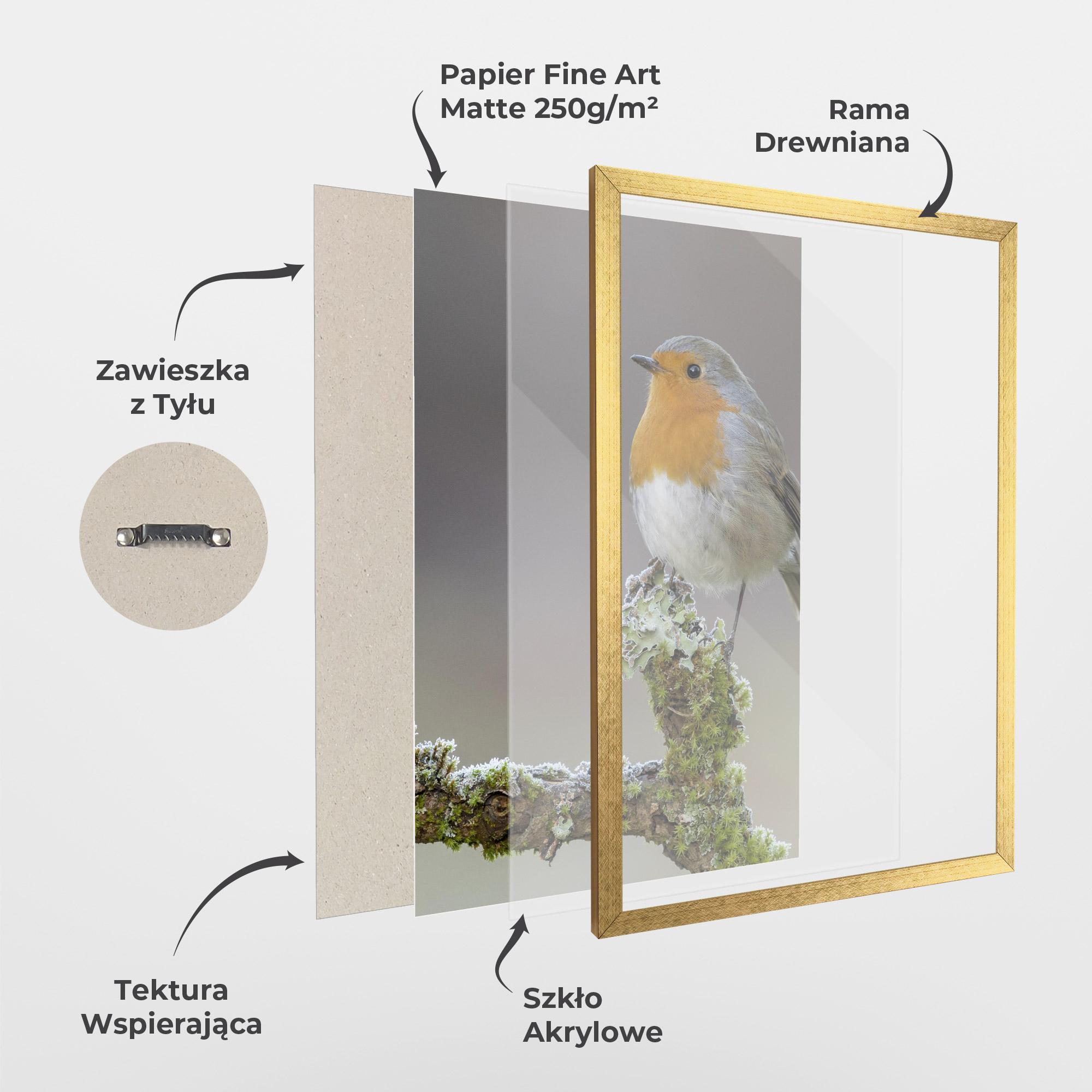 Plakat w Ramie Erithacus Bird mockup 1