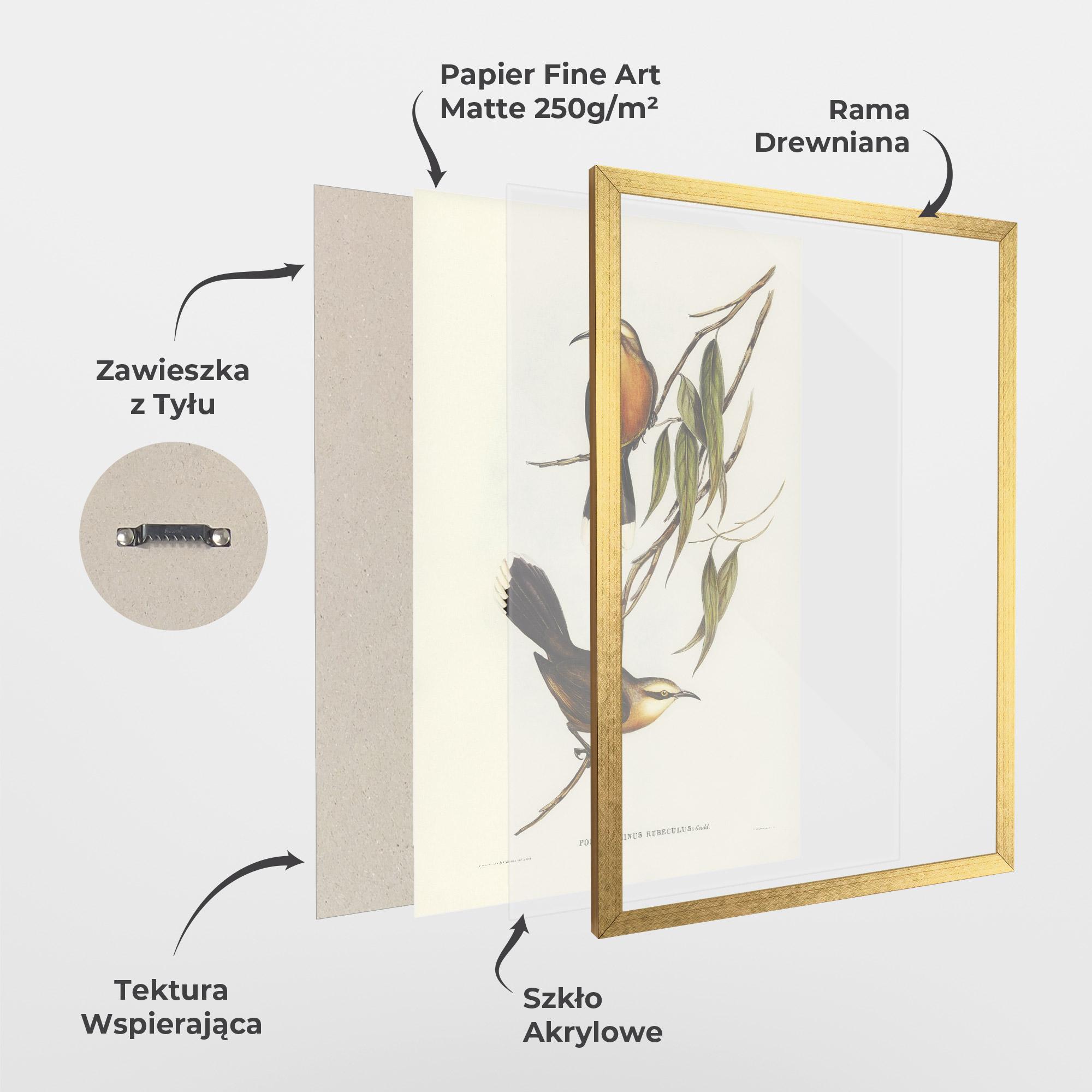 Plakat w Ramie Red Pomatorhinus mockup 1