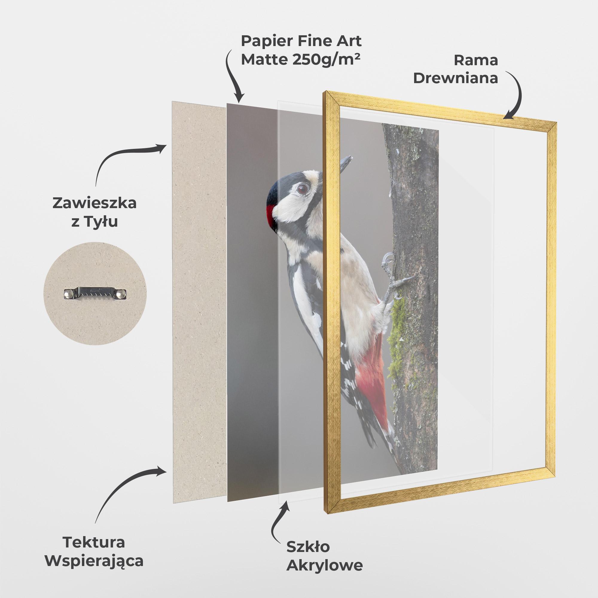 Plakat w Ramie Woodpecker mockup 1