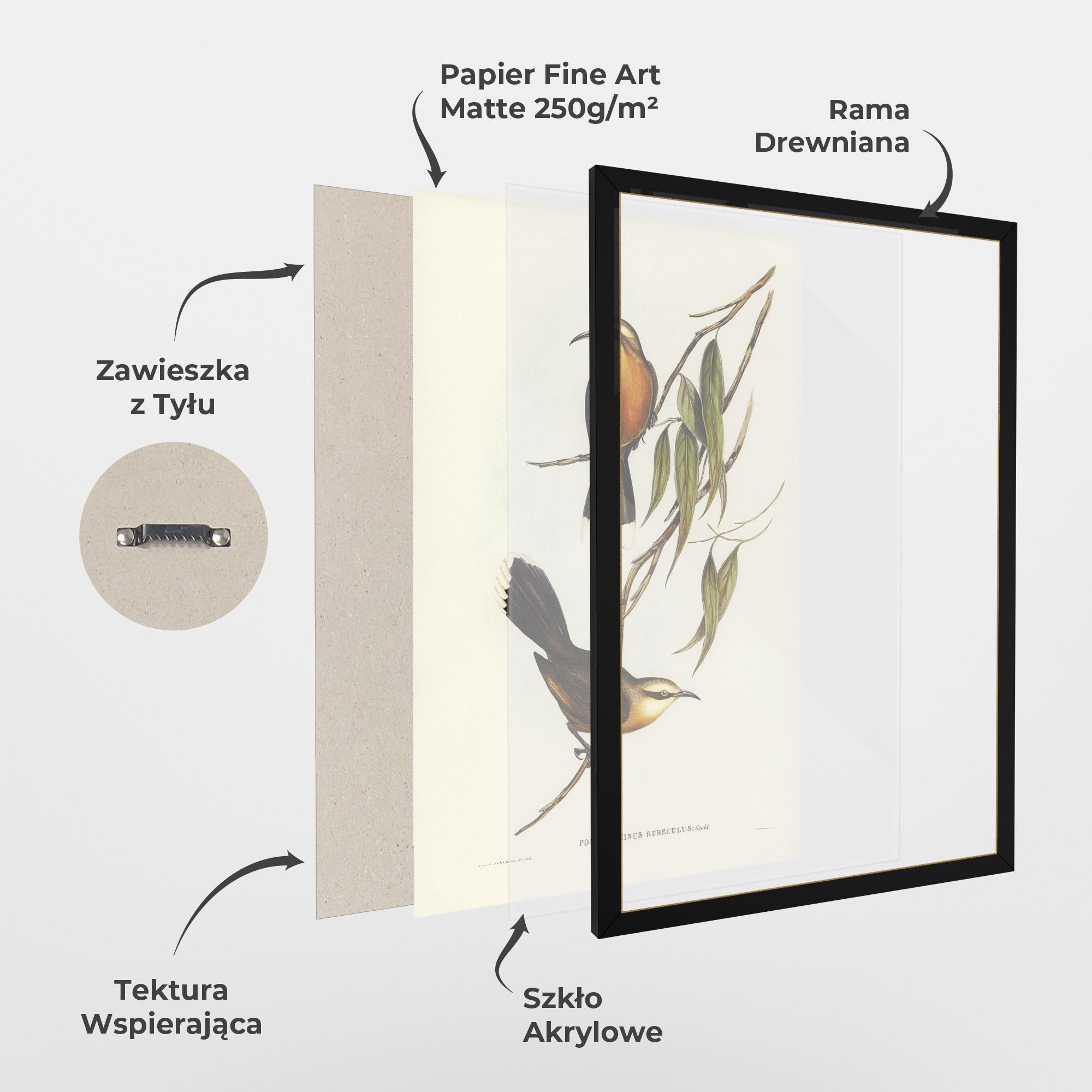 Plakat w Ramie Red Pomatorhinus mockup 1