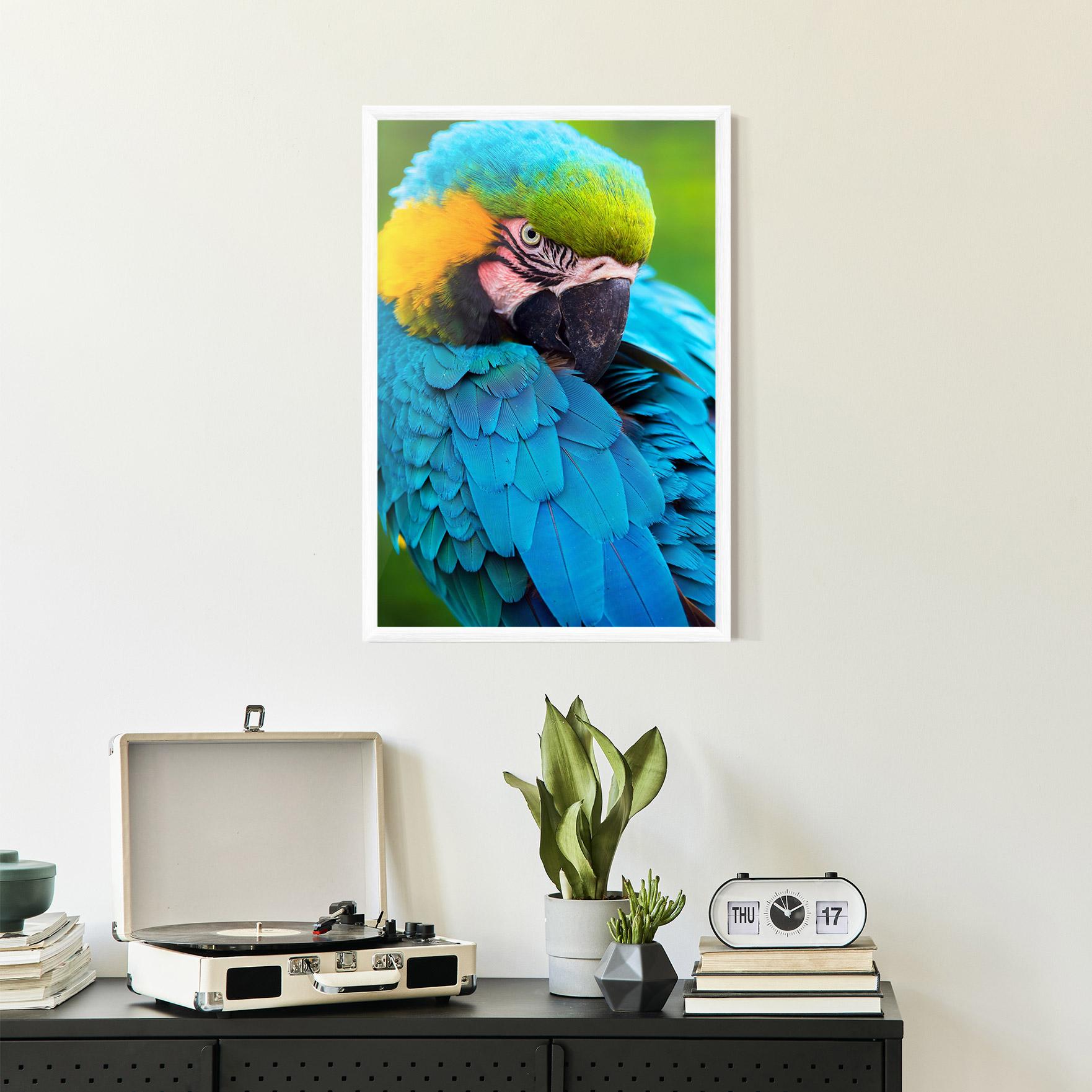 Plakat w Ramie Blue Parrot mockup 2