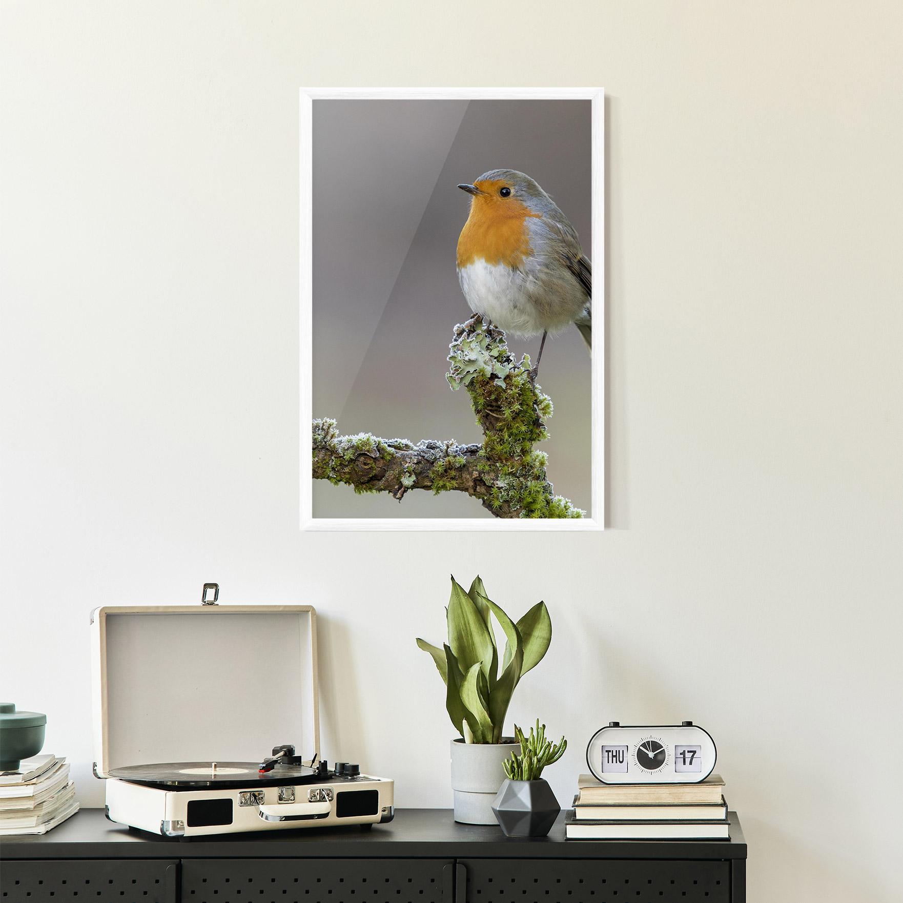 Plakat w Ramie Erithacus Bird mockup 2