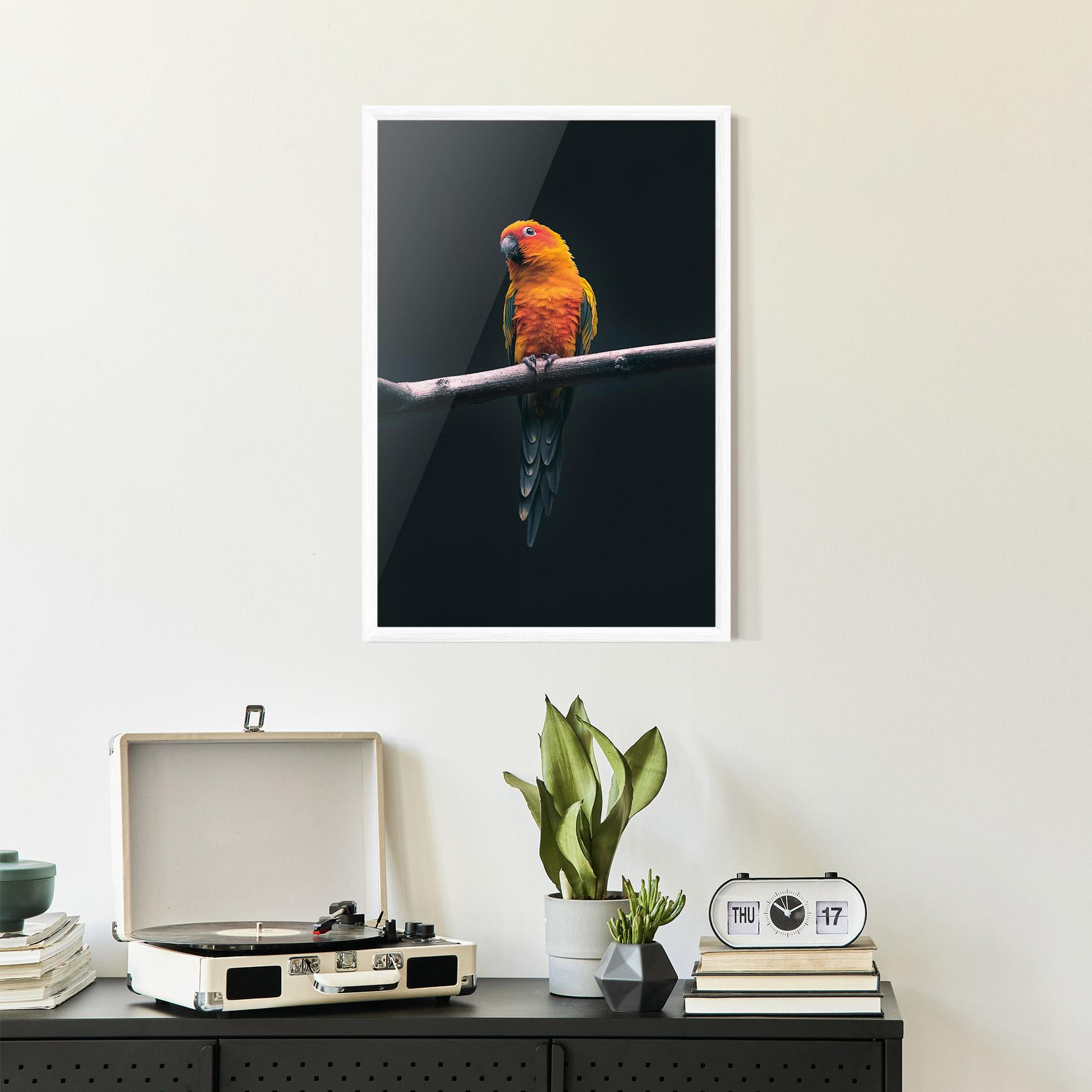 Plakat w Ramie Fire Parrot mockup 2