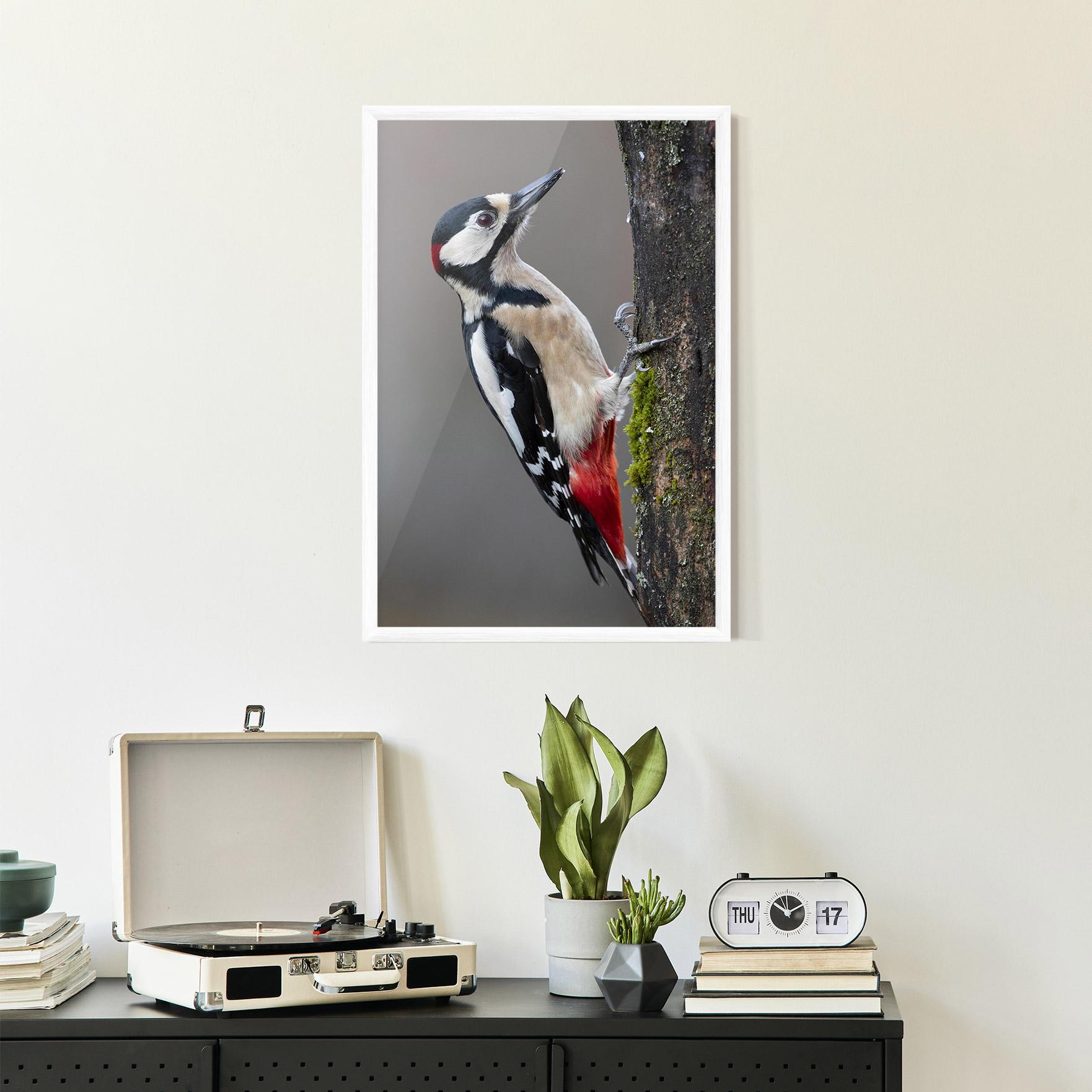 Plakat w Ramie Woodpecker mockup 2