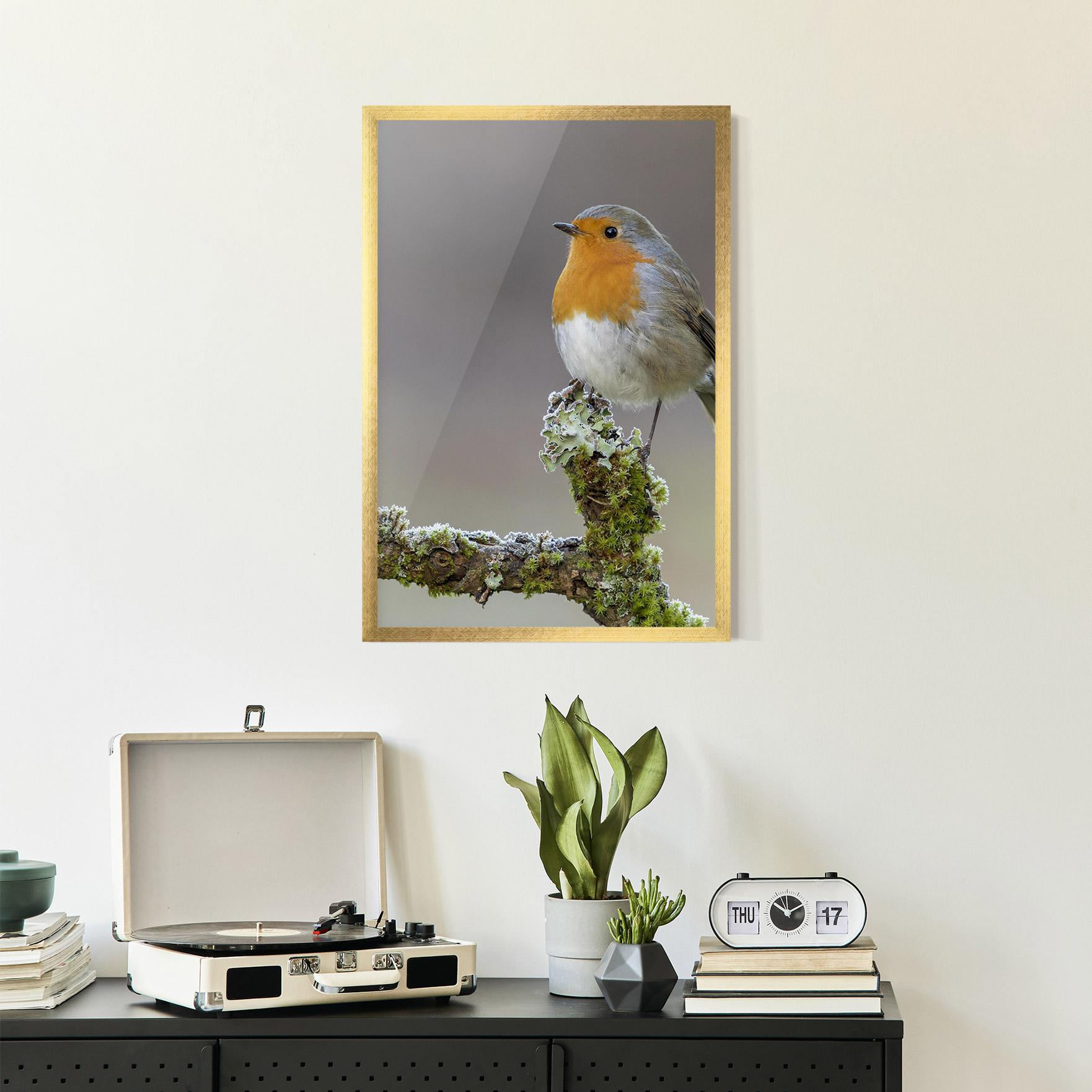 Plakat w Ramie Erithacus Bird mockup 2