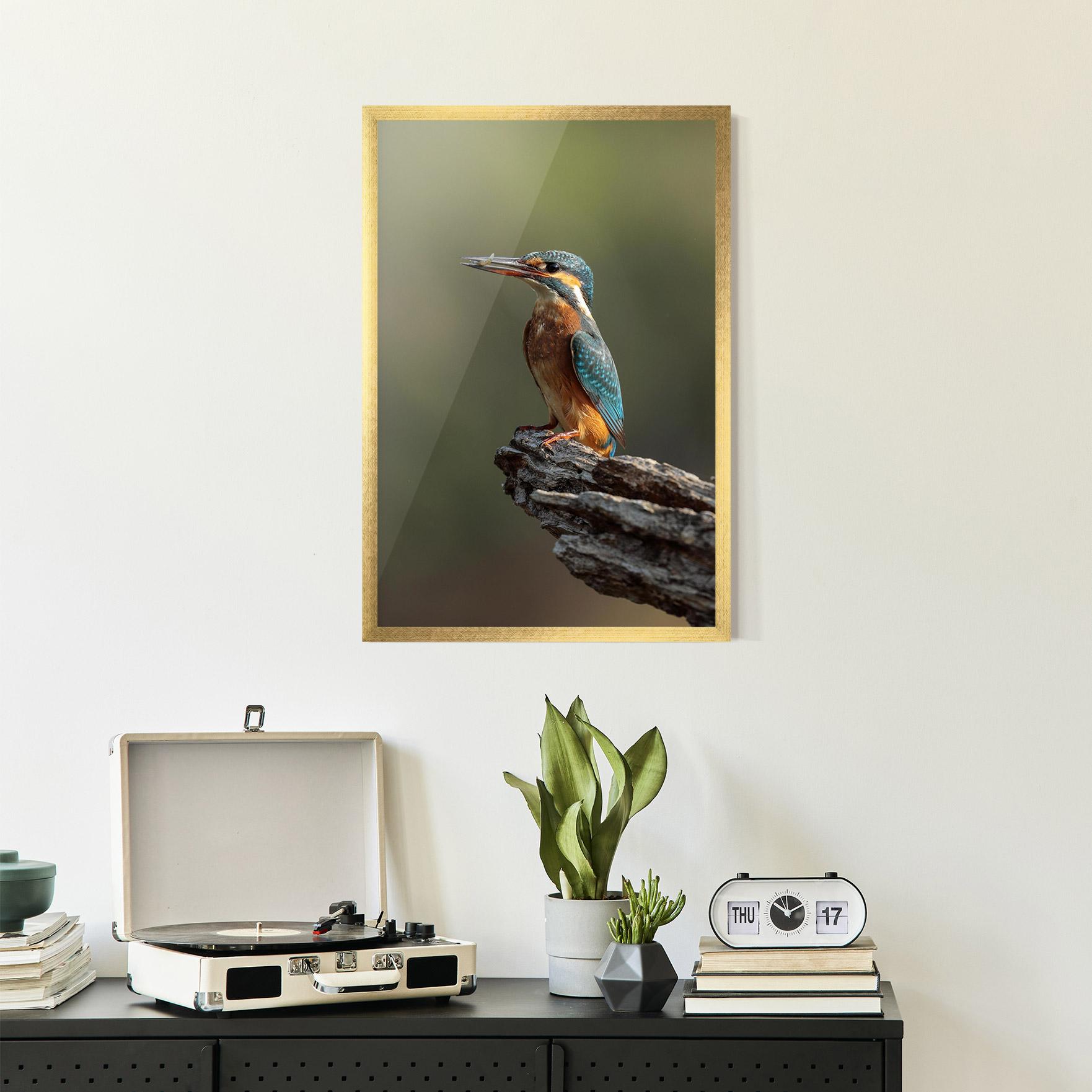 Plakat w Ramie Female Kingfisher mockup 2