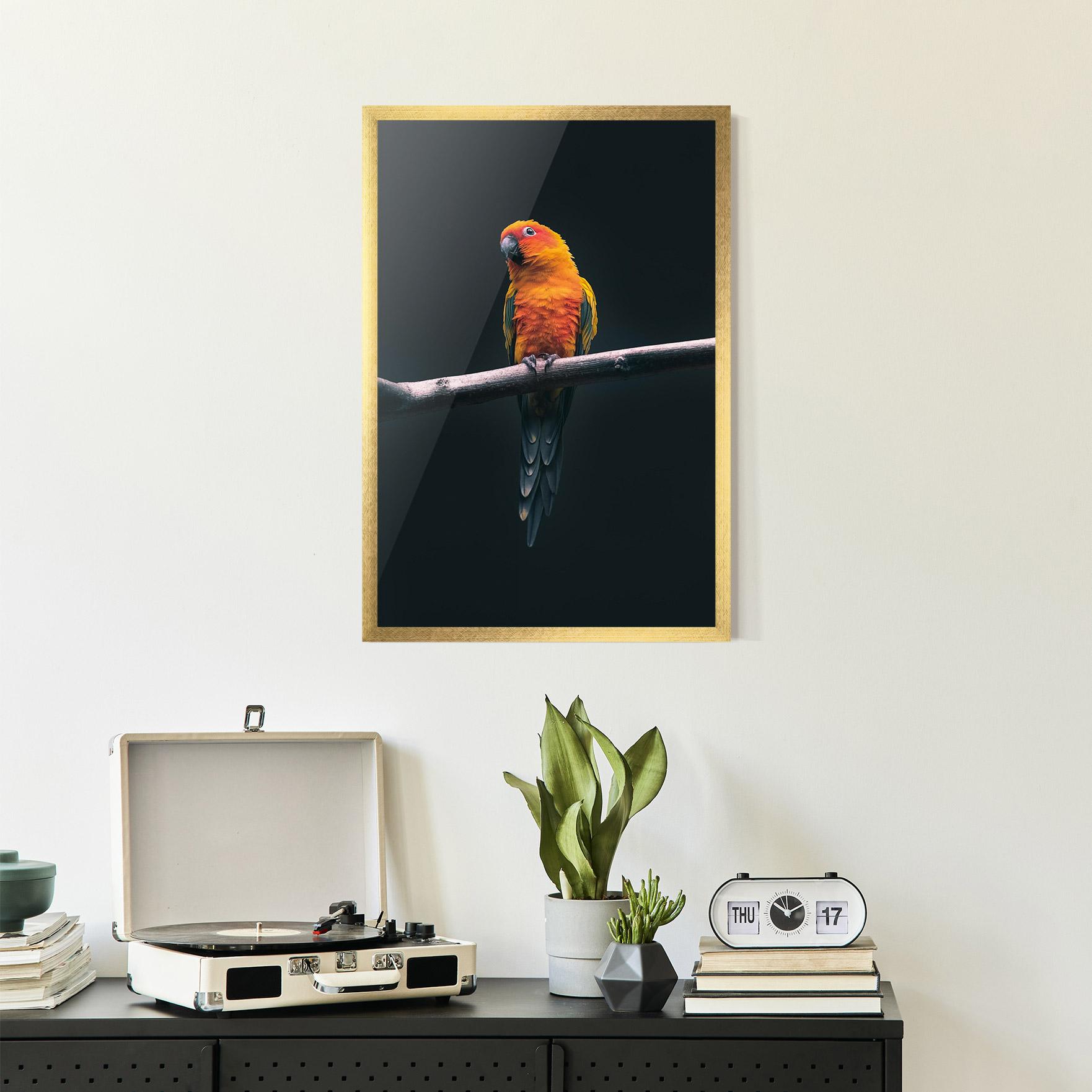 Plakat w Ramie Fire Parrot mockup 2