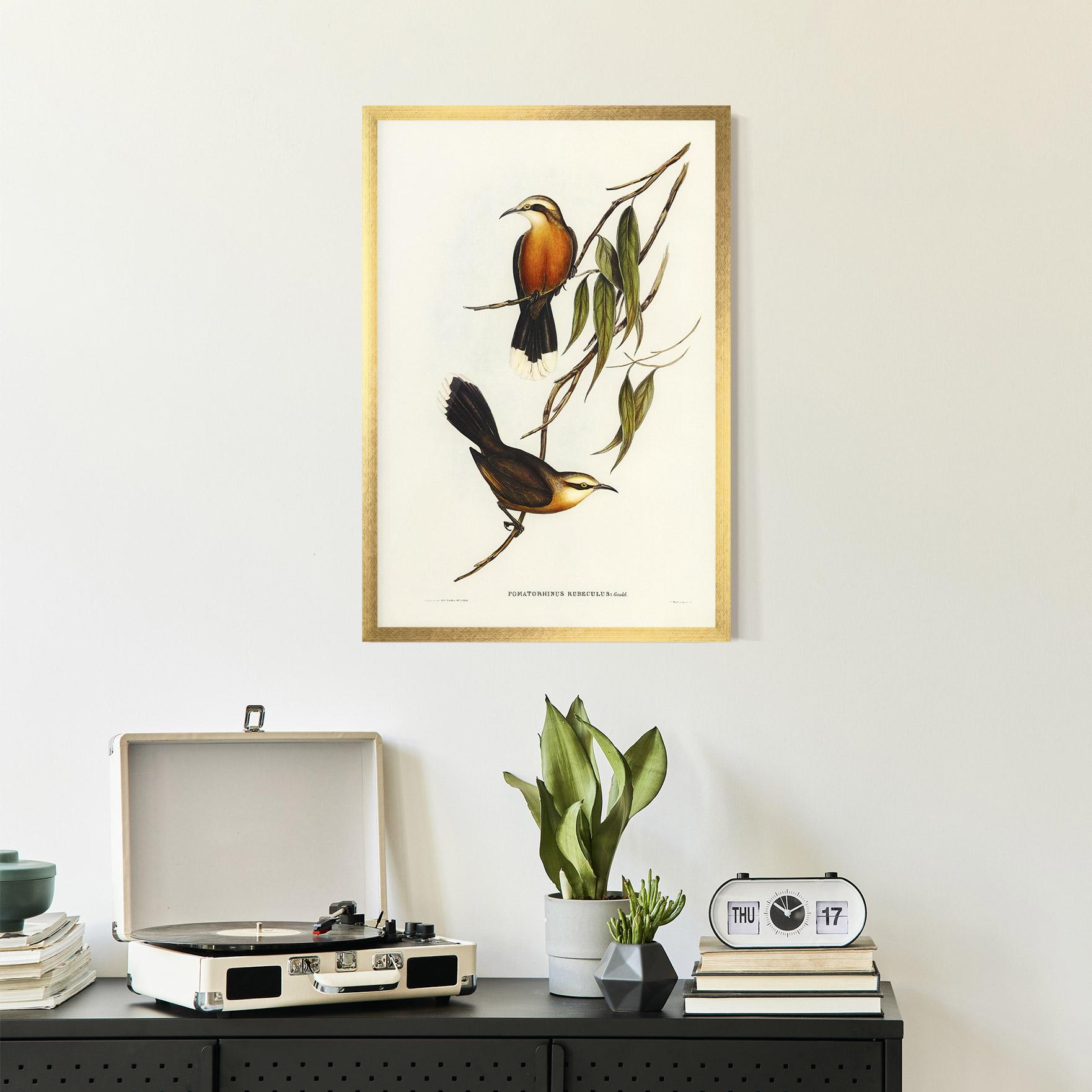 Plakat w Ramie Red Pomatorhinus mockup 2