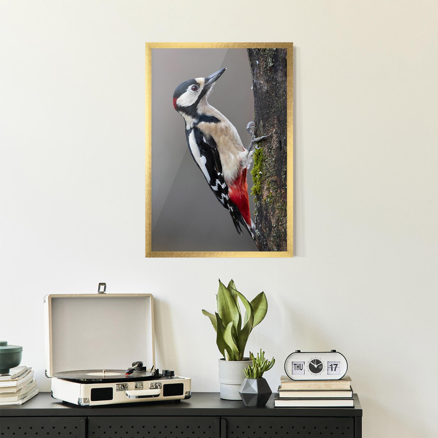 Plakat w Ramie Woodpecker mockup 2