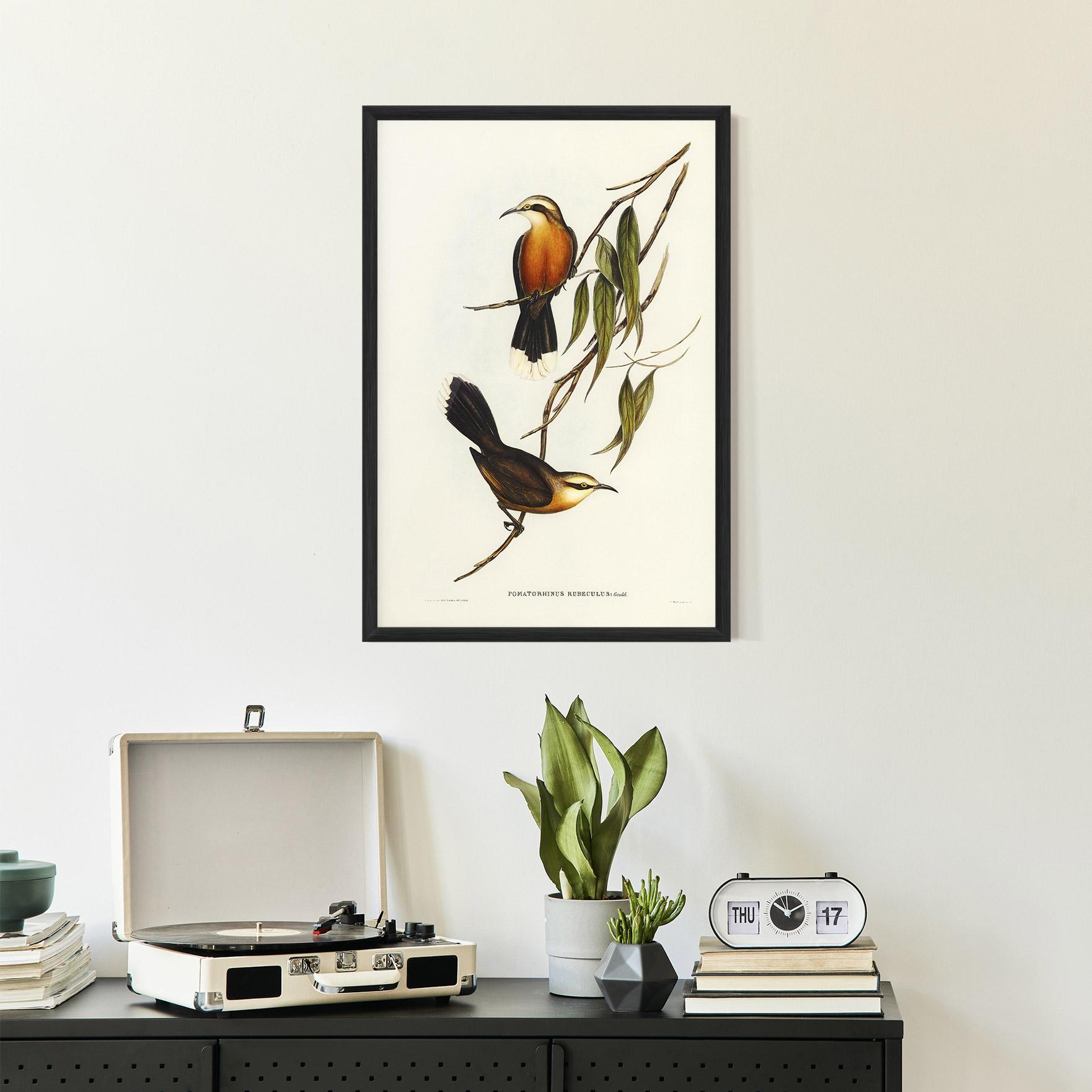 Plakat w Ramie Red Pomatorhinus mockup 2