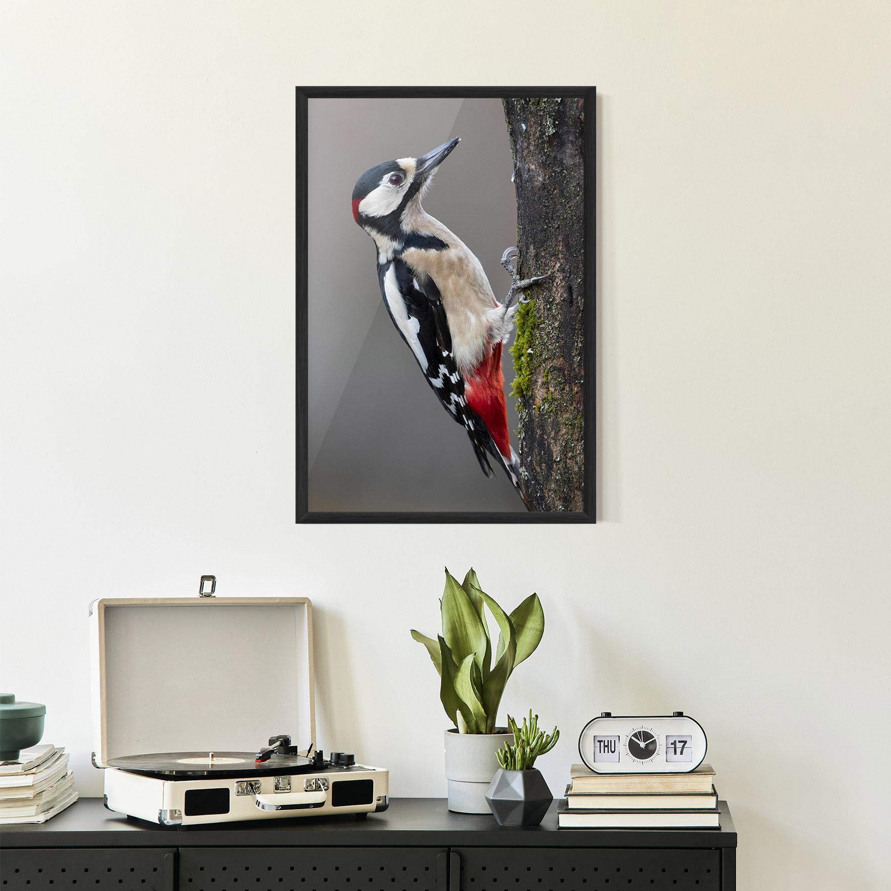Plakat w Ramie Woodpecker mockup 2