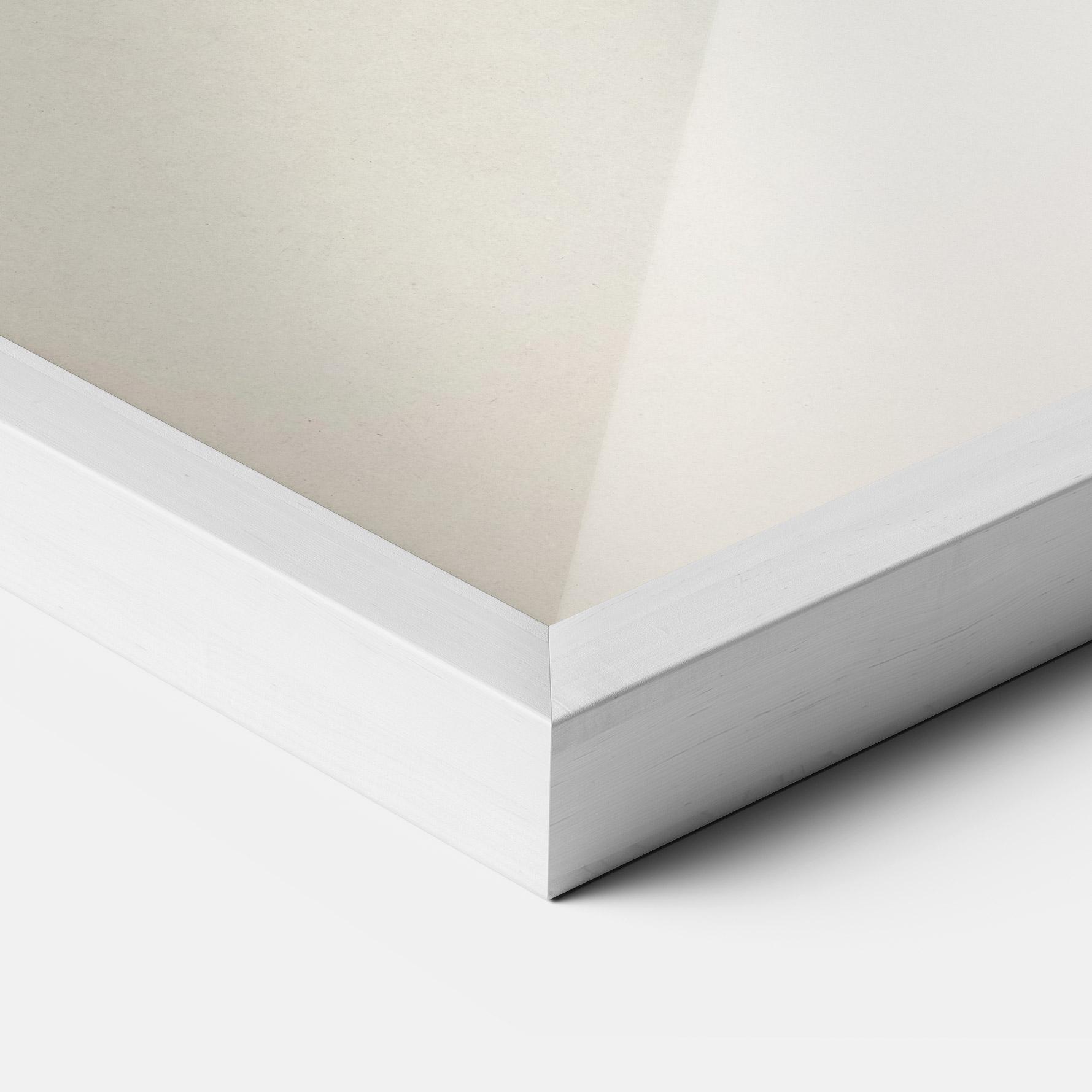 Plakat w Ramie Astur Gentilis mockup 3