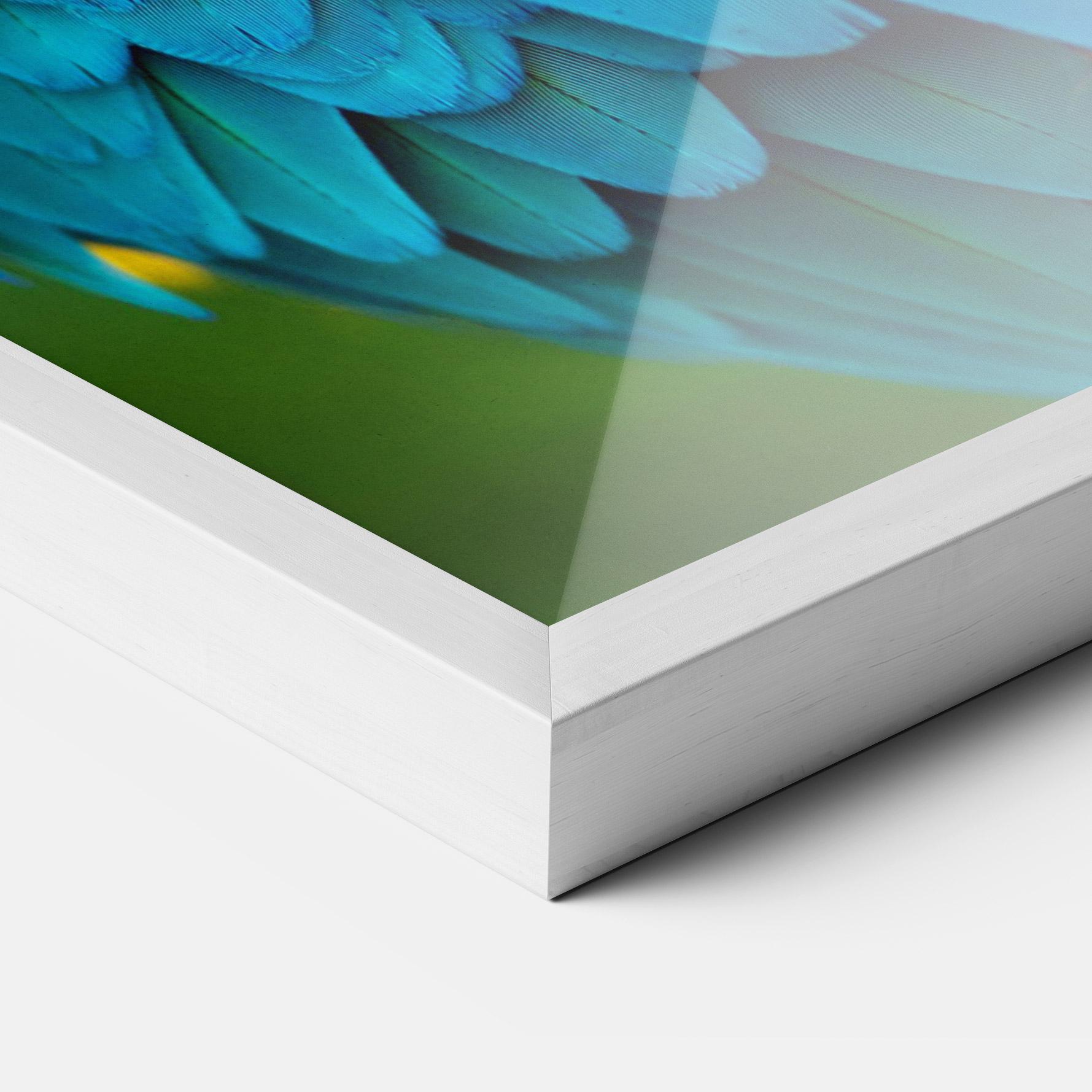 Plakat w Ramie Blue Parrot mockup 3