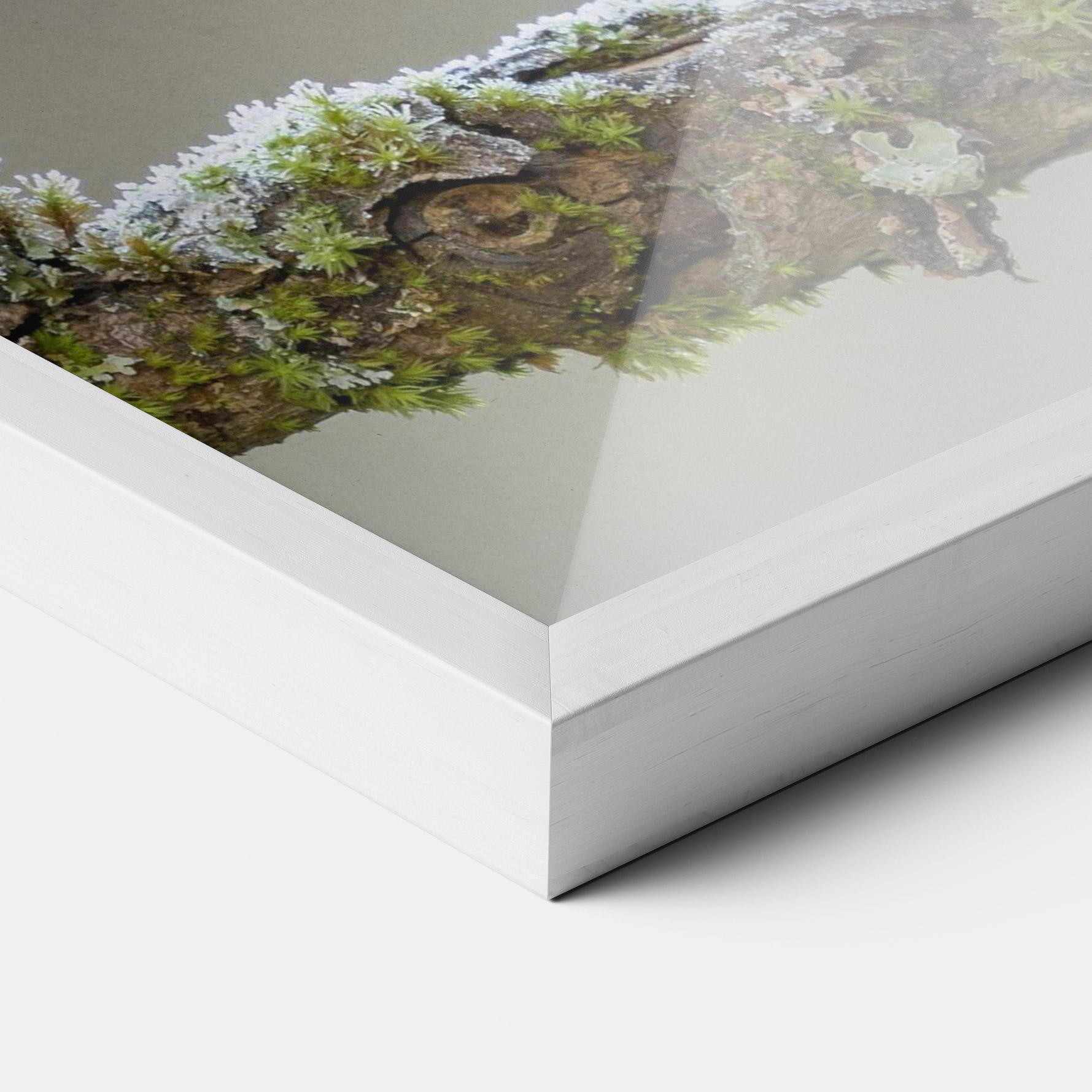 Plakat w Ramie Erithacus Bird mockup 3