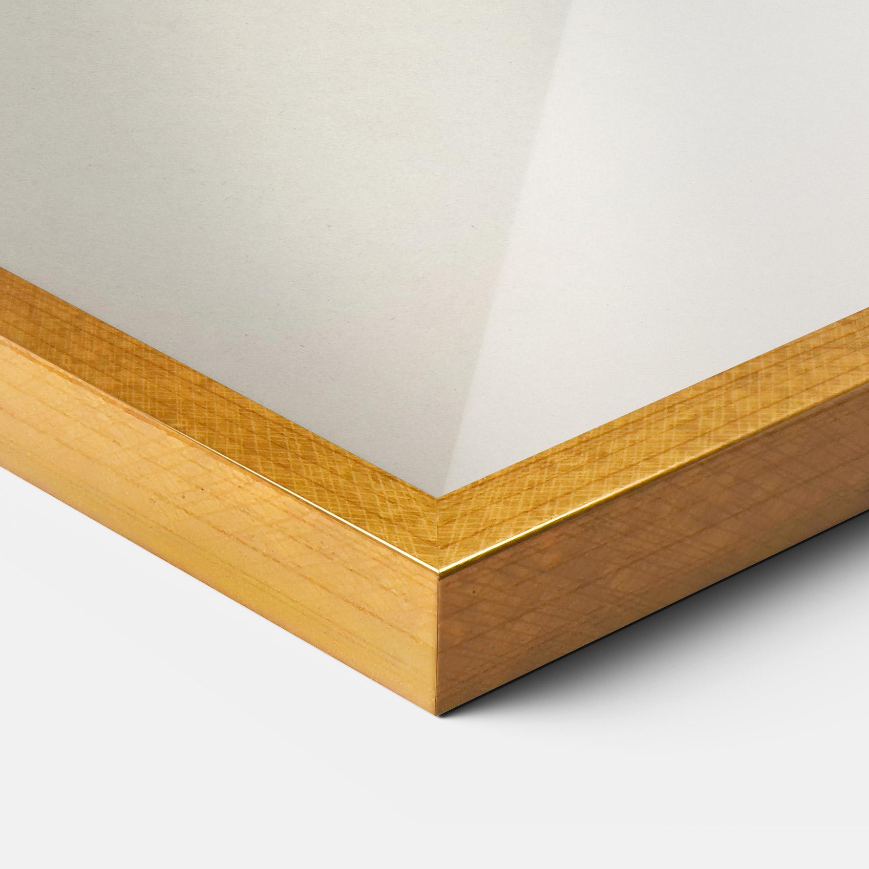 Plakat w Ramie Astur Gentilis mockup 3