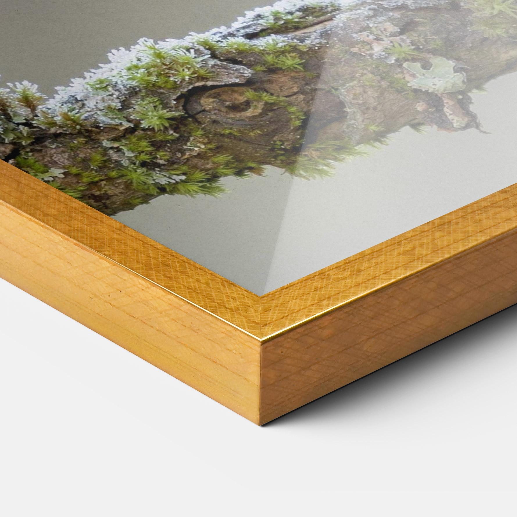 Plakat w Ramie Erithacus Bird mockup 3