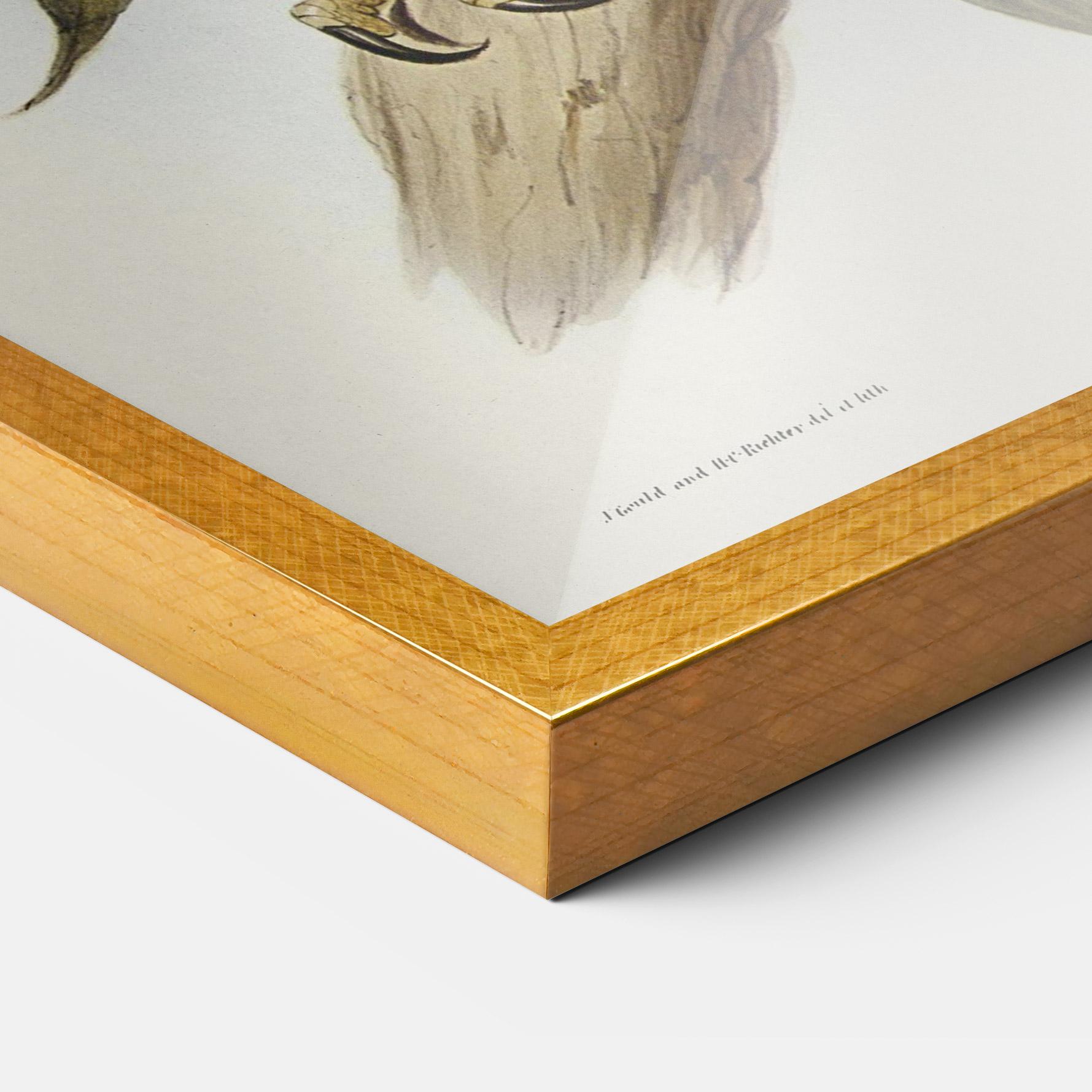 Plakat w Ramie Owl Family mockup 3