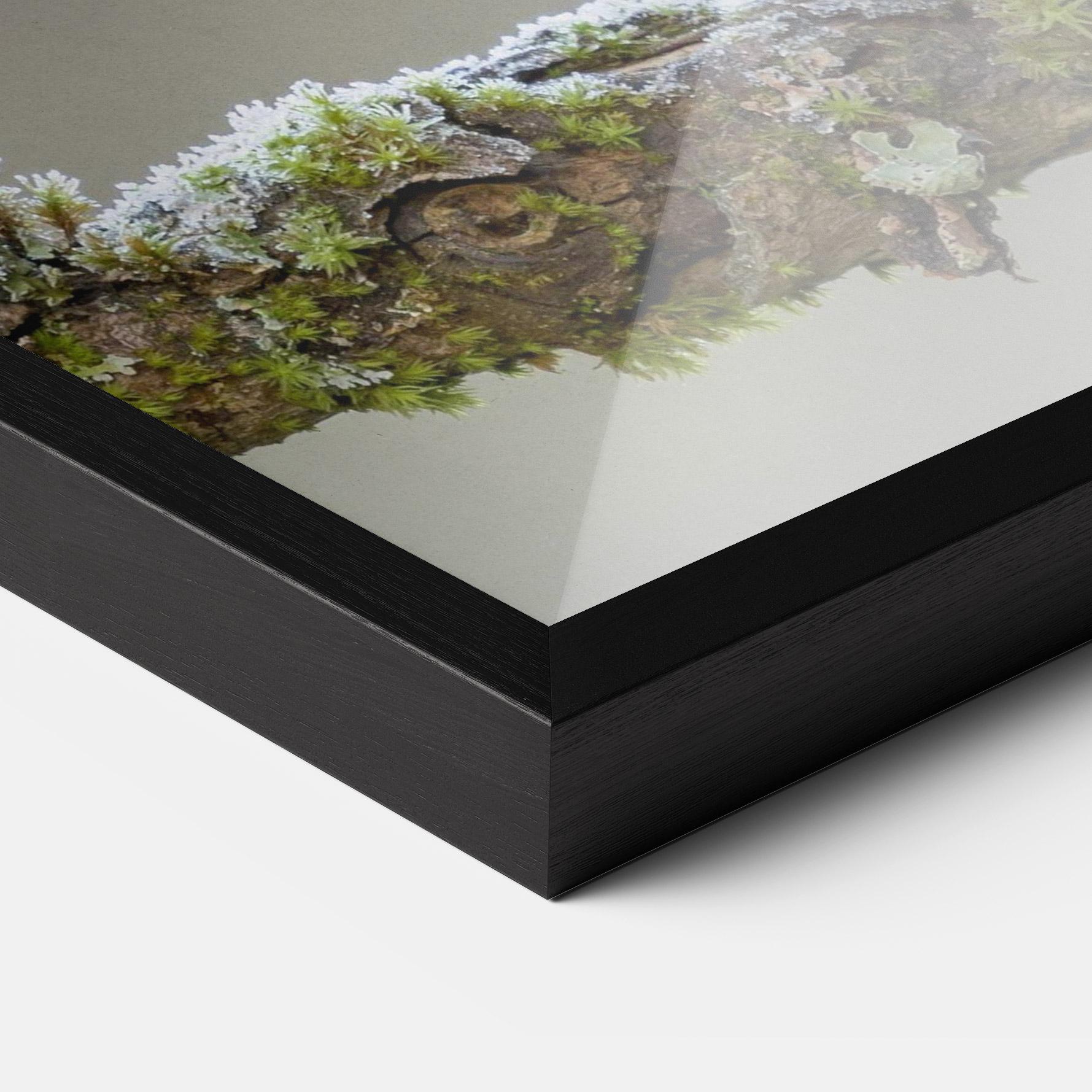 Plakat w Ramie Erithacus Bird mockup 3