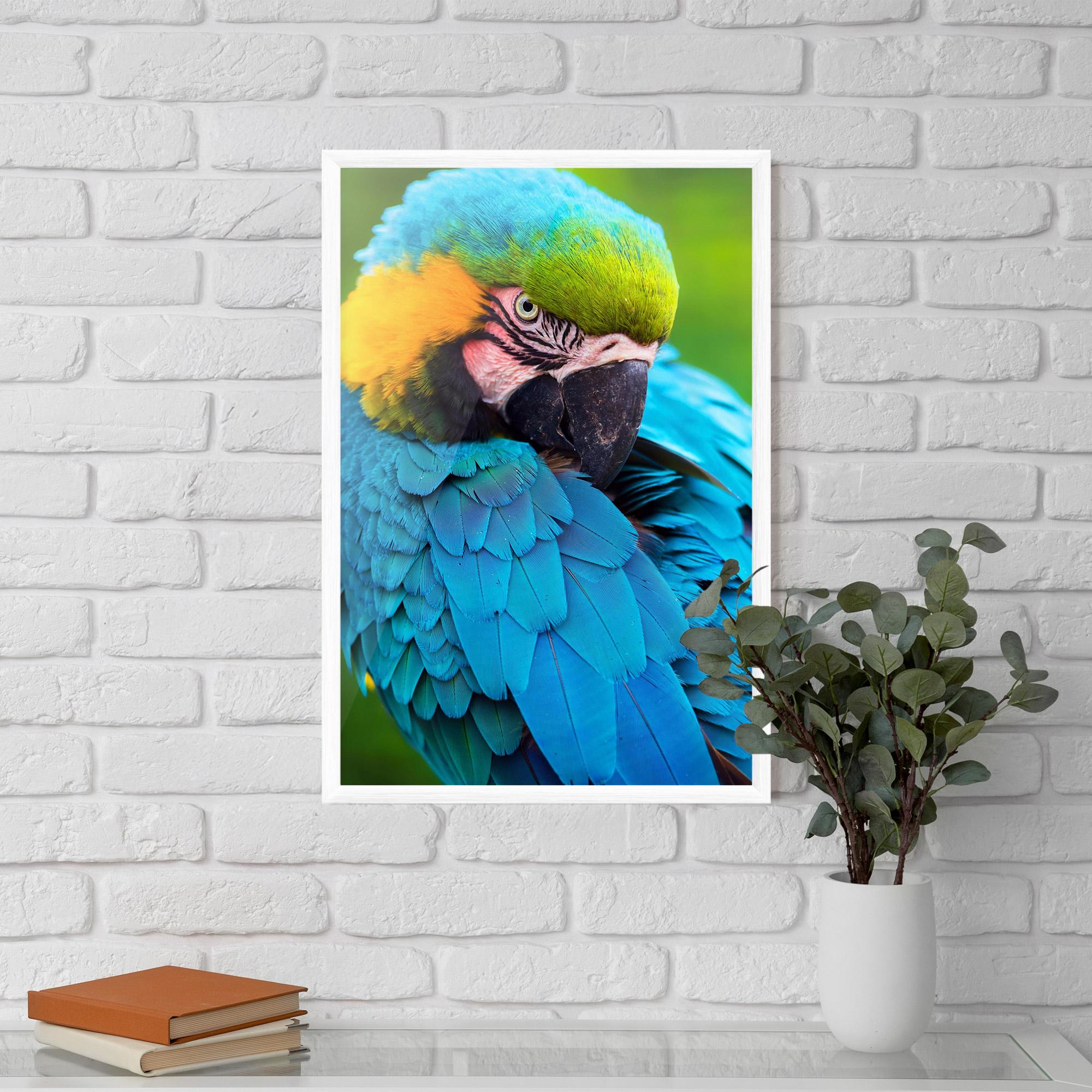 Plakat w Ramie Blue Parrot mockup 5