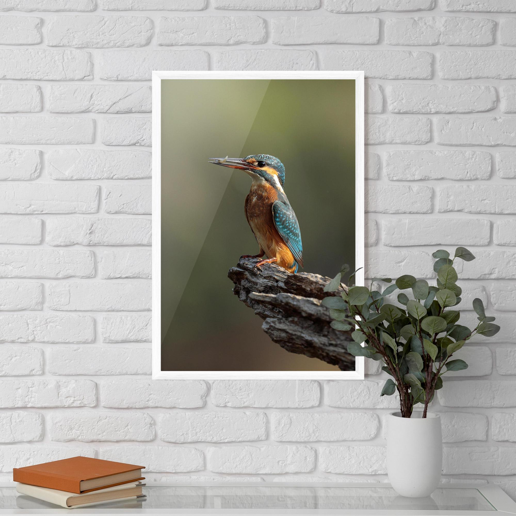 Plakat w Ramie Female Kingfisher mockup 5
