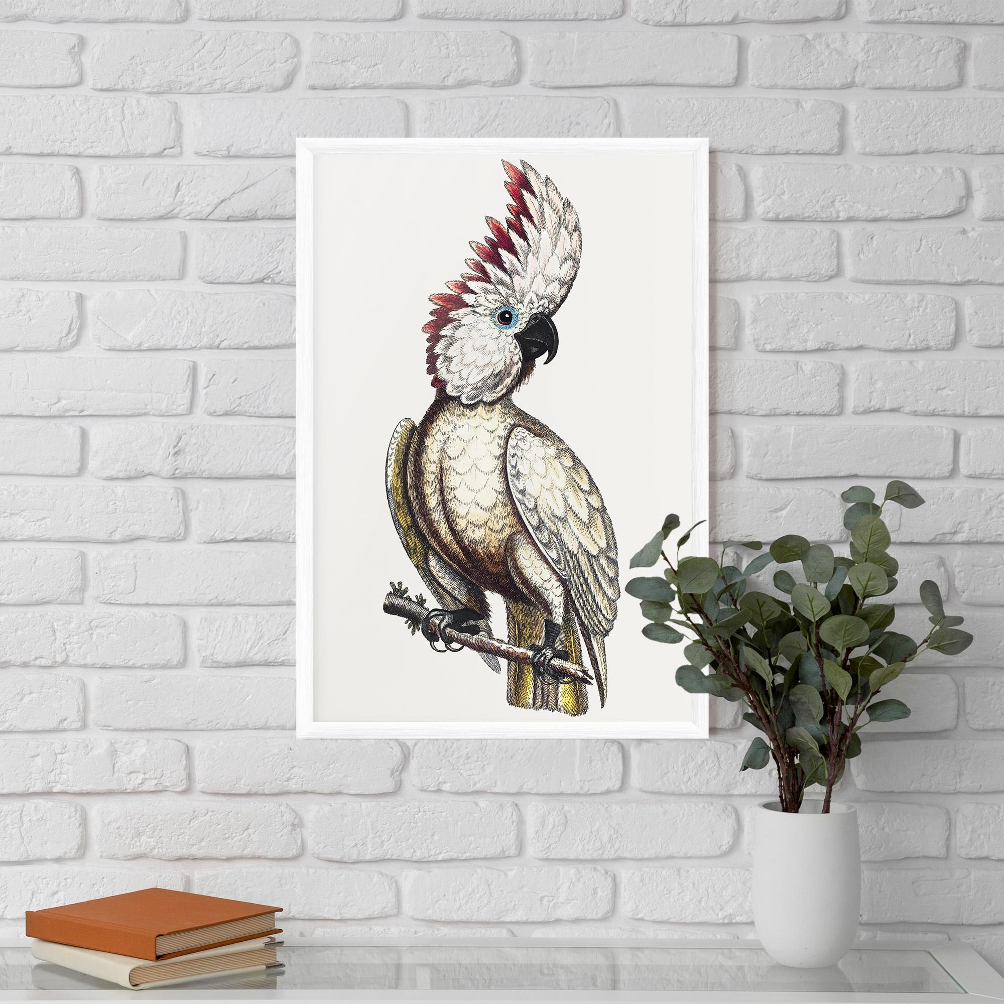 Plakat w Ramie Interesting Bird mockup 5