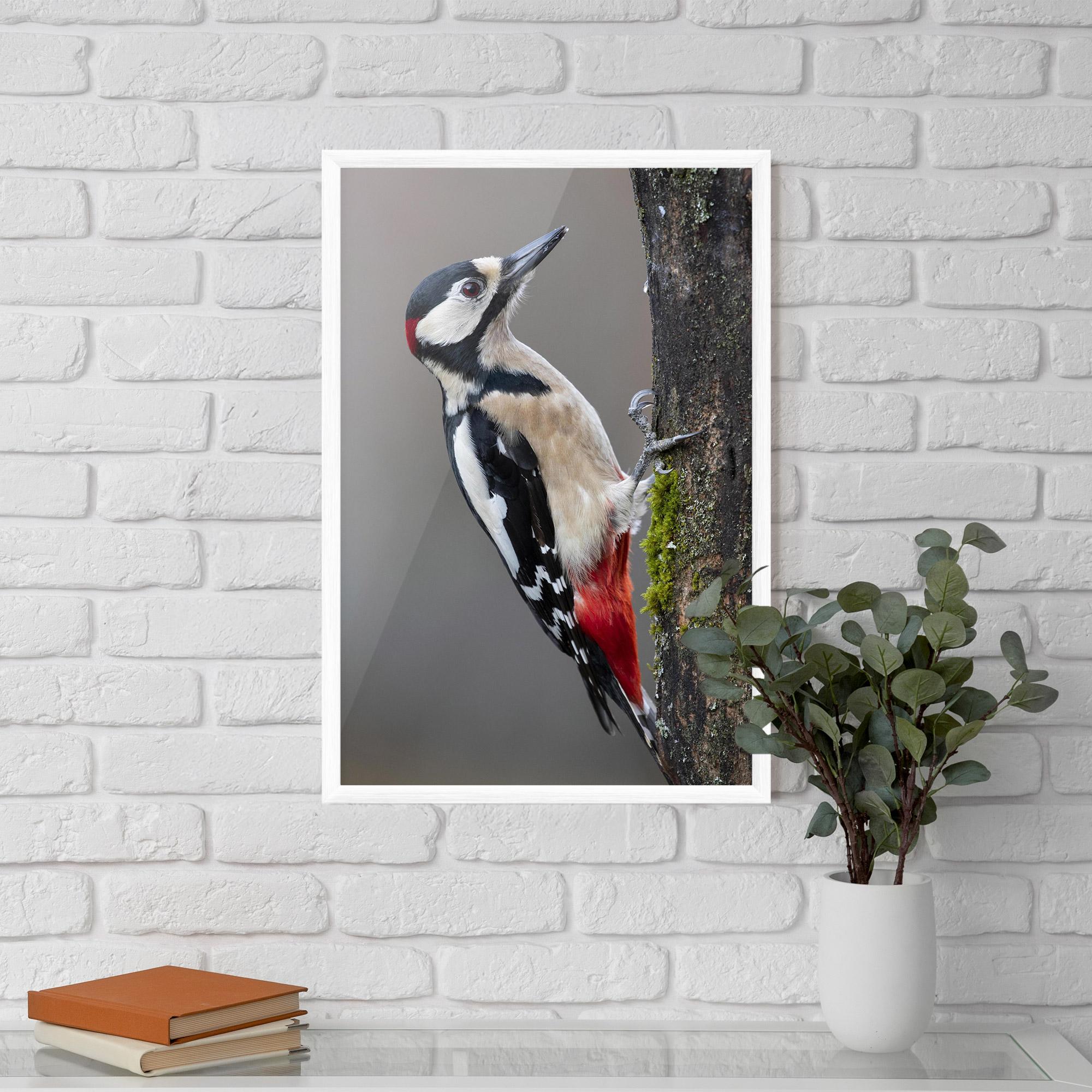 Plakat w Ramie Woodpecker mockup 5