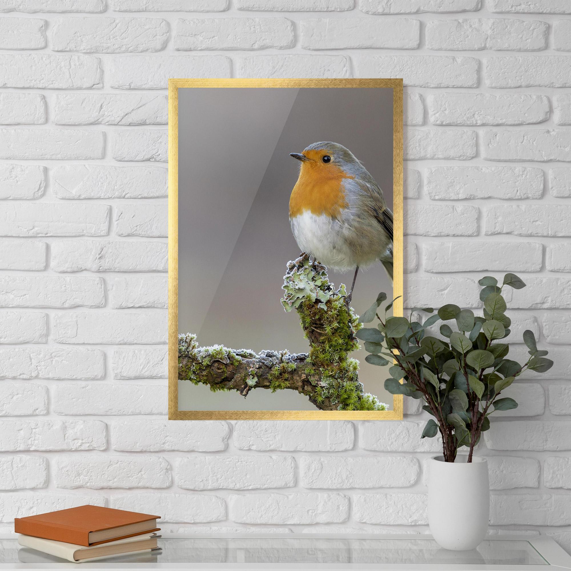 Plakat w Ramie Erithacus Bird mockup 5