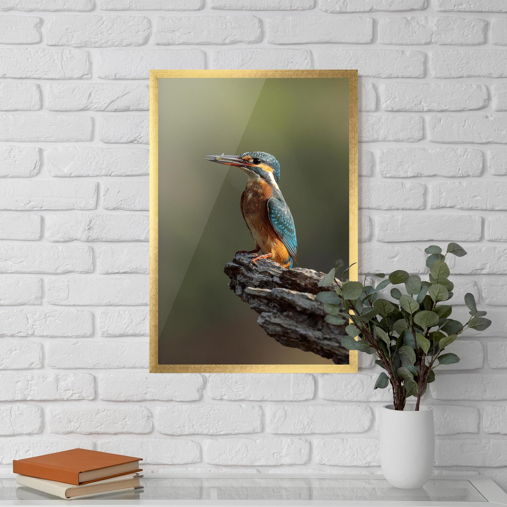 Plakat w Ramie Female Kingfisher mockup 5