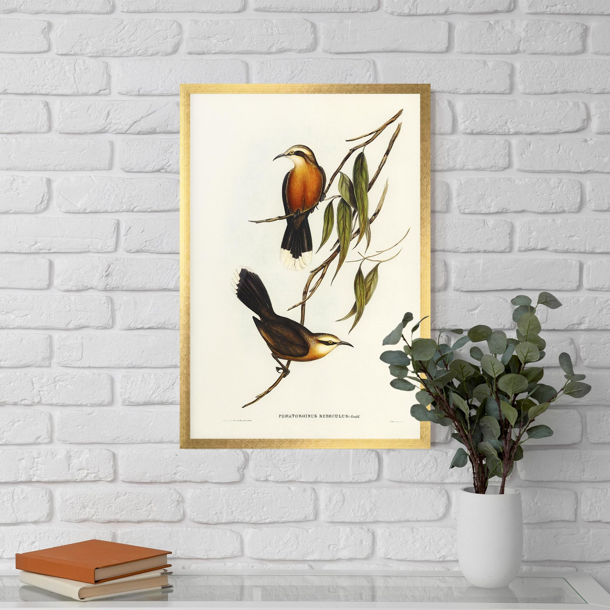 Plakat w Ramie Red Pomatorhinus mockup 5