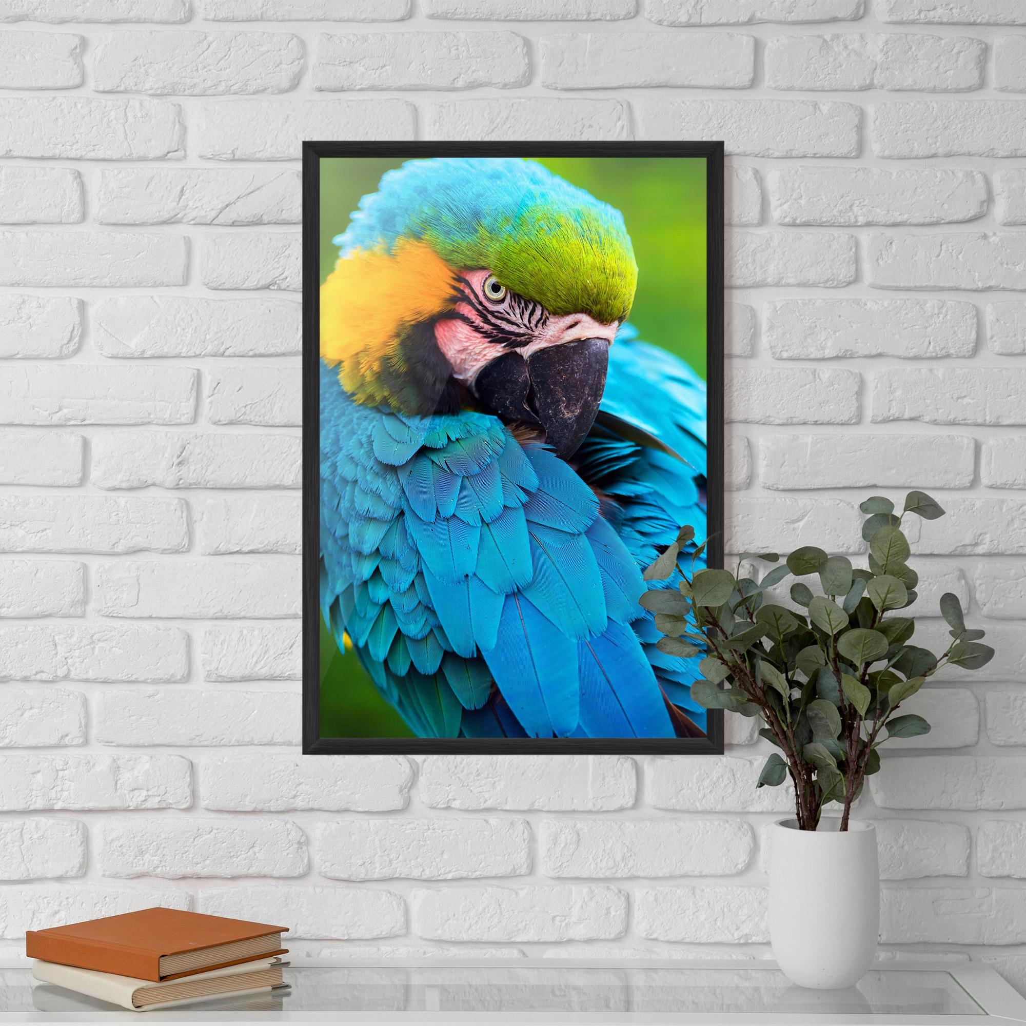 Plakat w Ramie Blue Parrot mockup 5