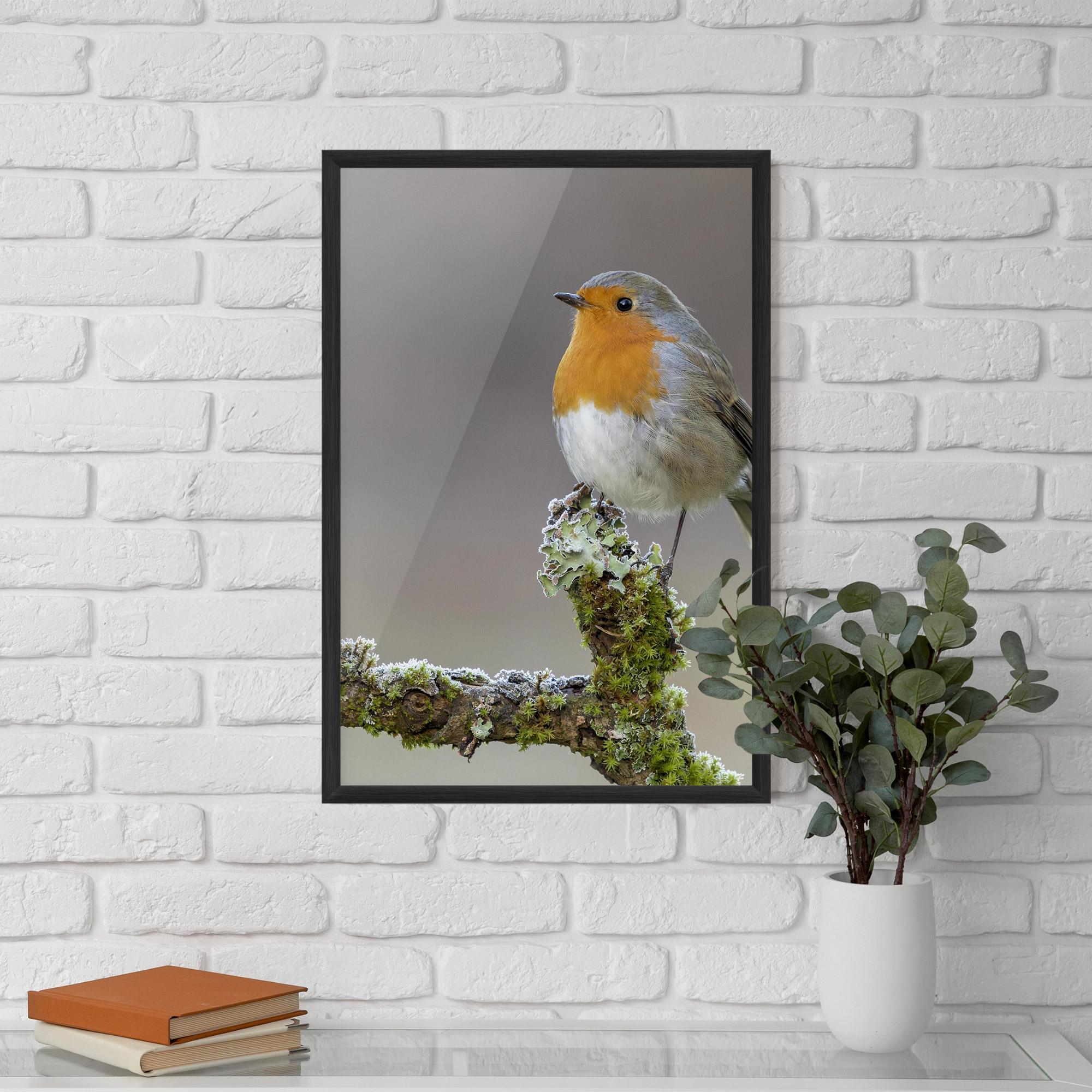 Plakat w Ramie Erithacus Bird mockup 5