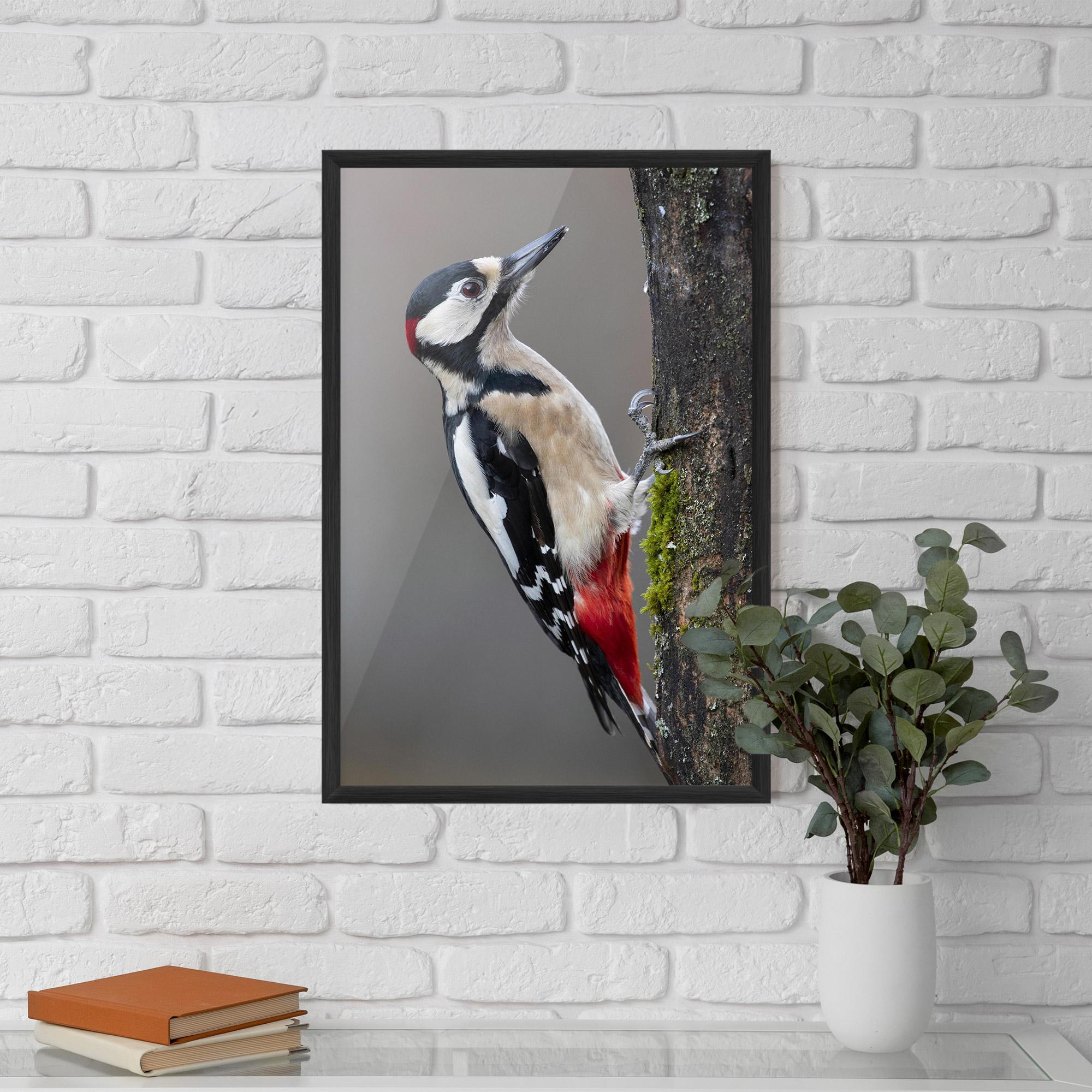 Plakat w Ramie Woodpecker mockup 5