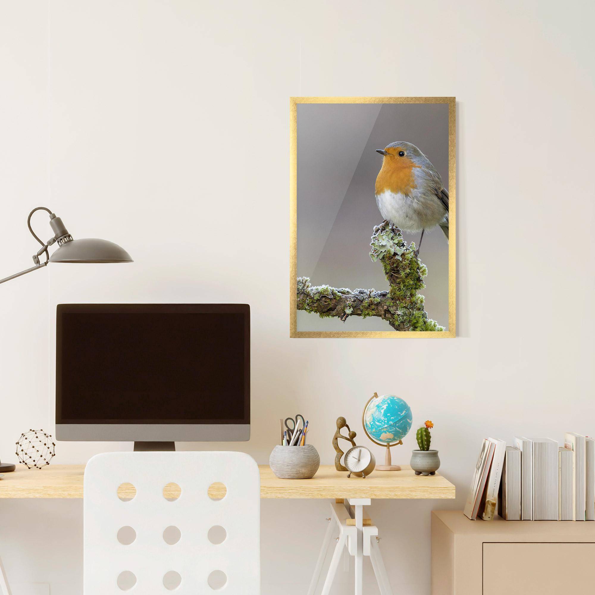 Plakat w Ramie Erithacus Bird mockup 6