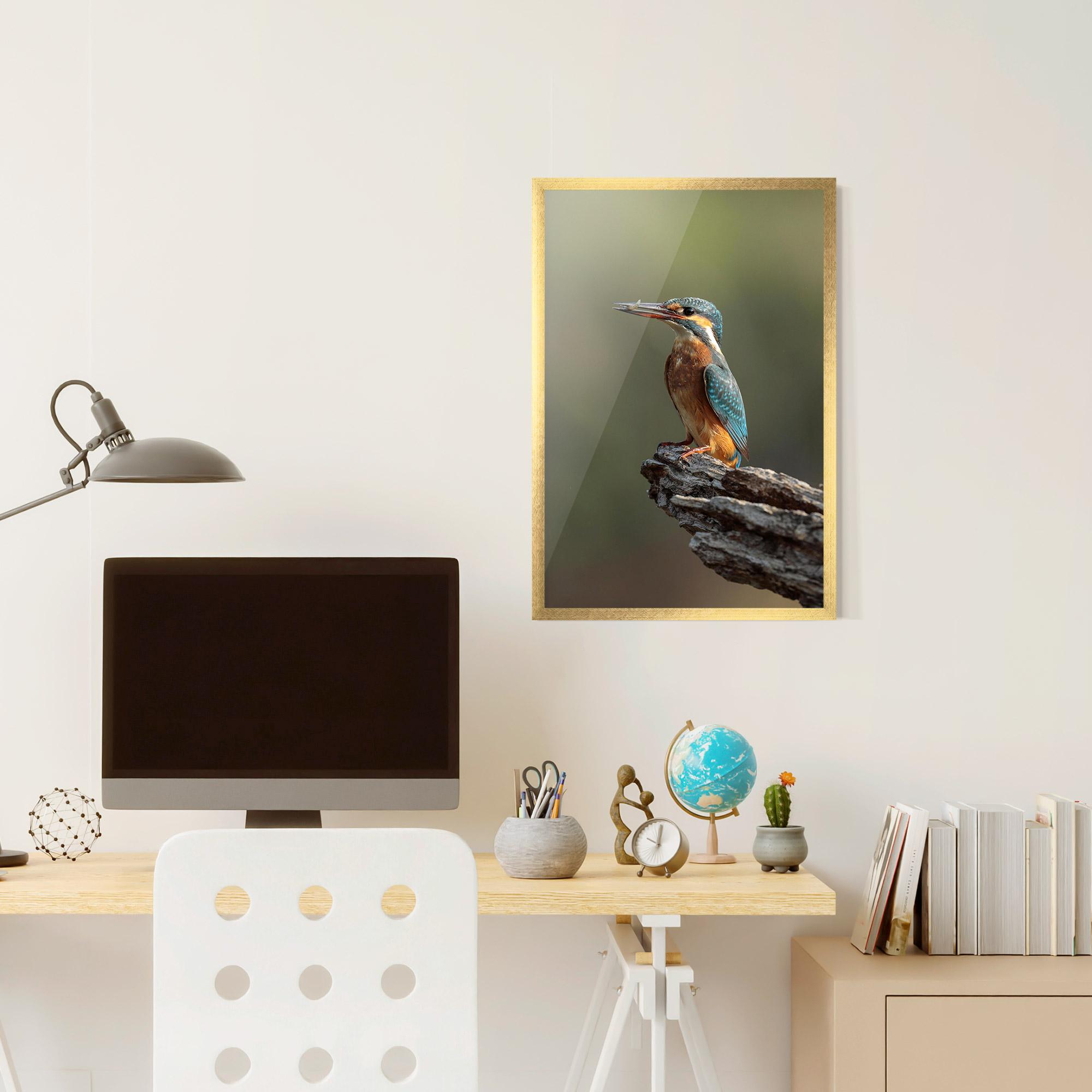 Plakat w Ramie Female Kingfisher mockup 6