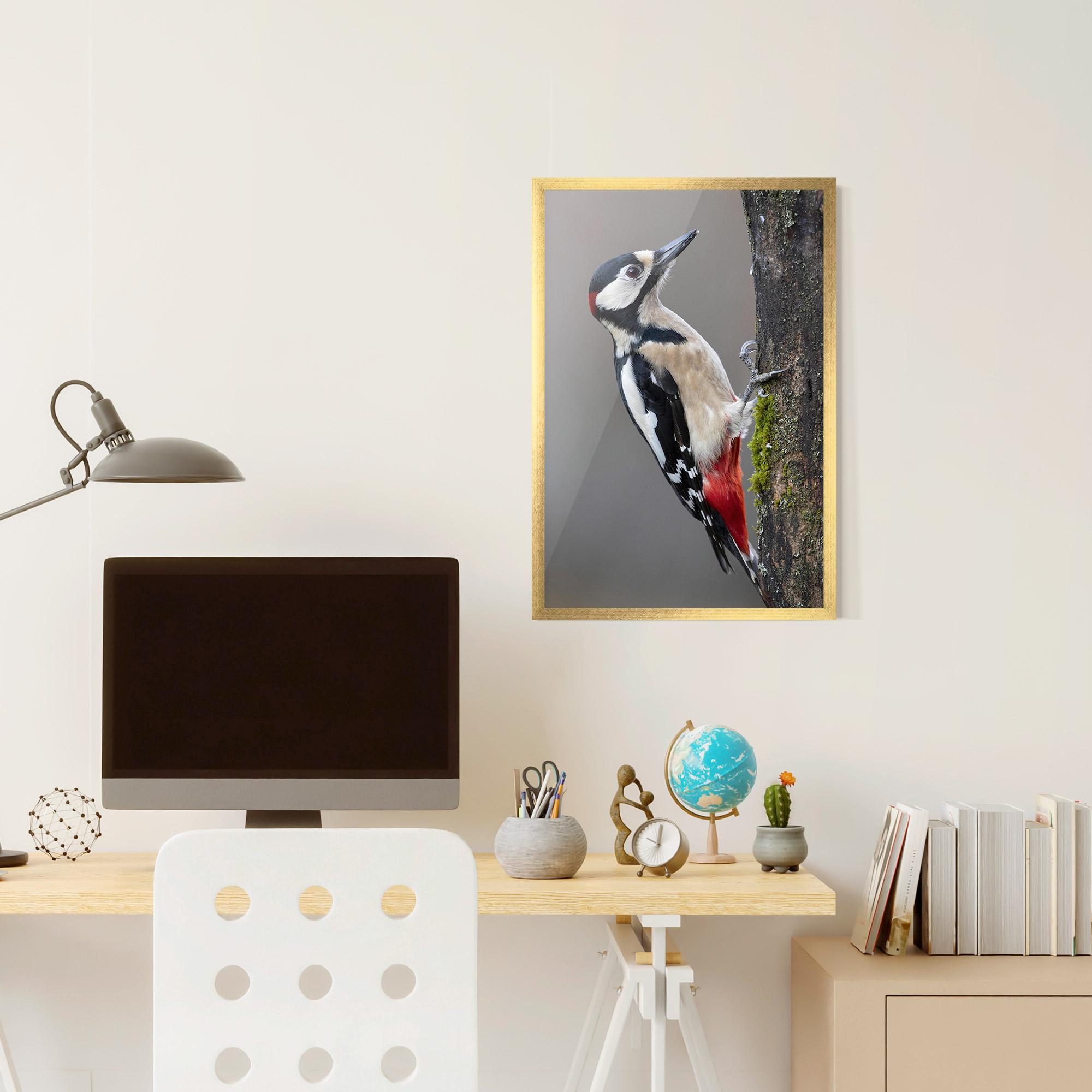 Plakat w Ramie Woodpecker mockup 6