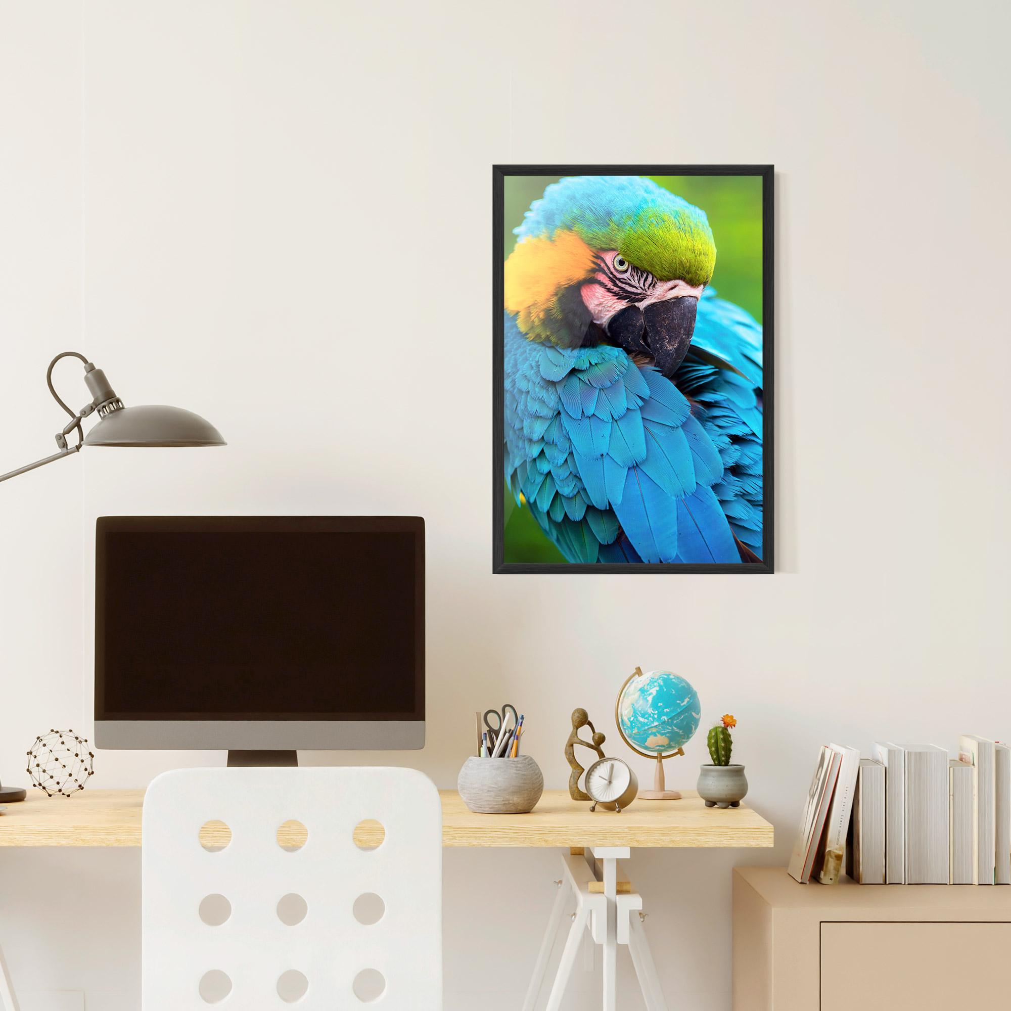 Plakat w Ramie Blue Parrot mockup 6