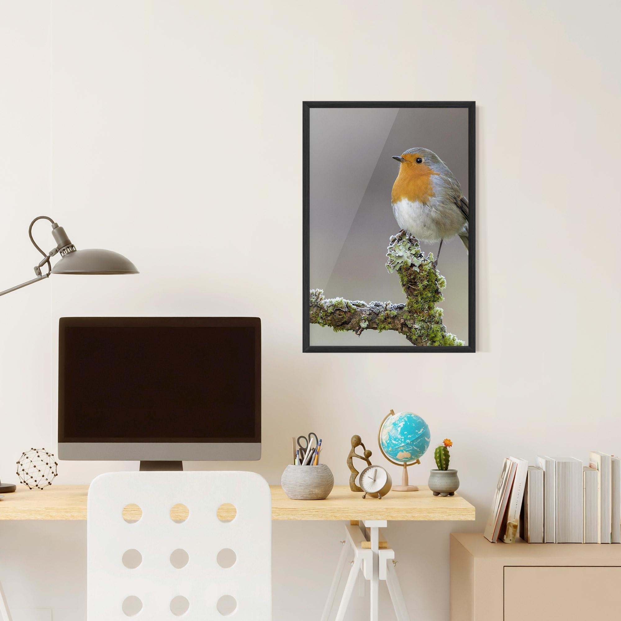 Plakat w Ramie Erithacus Bird mockup 6