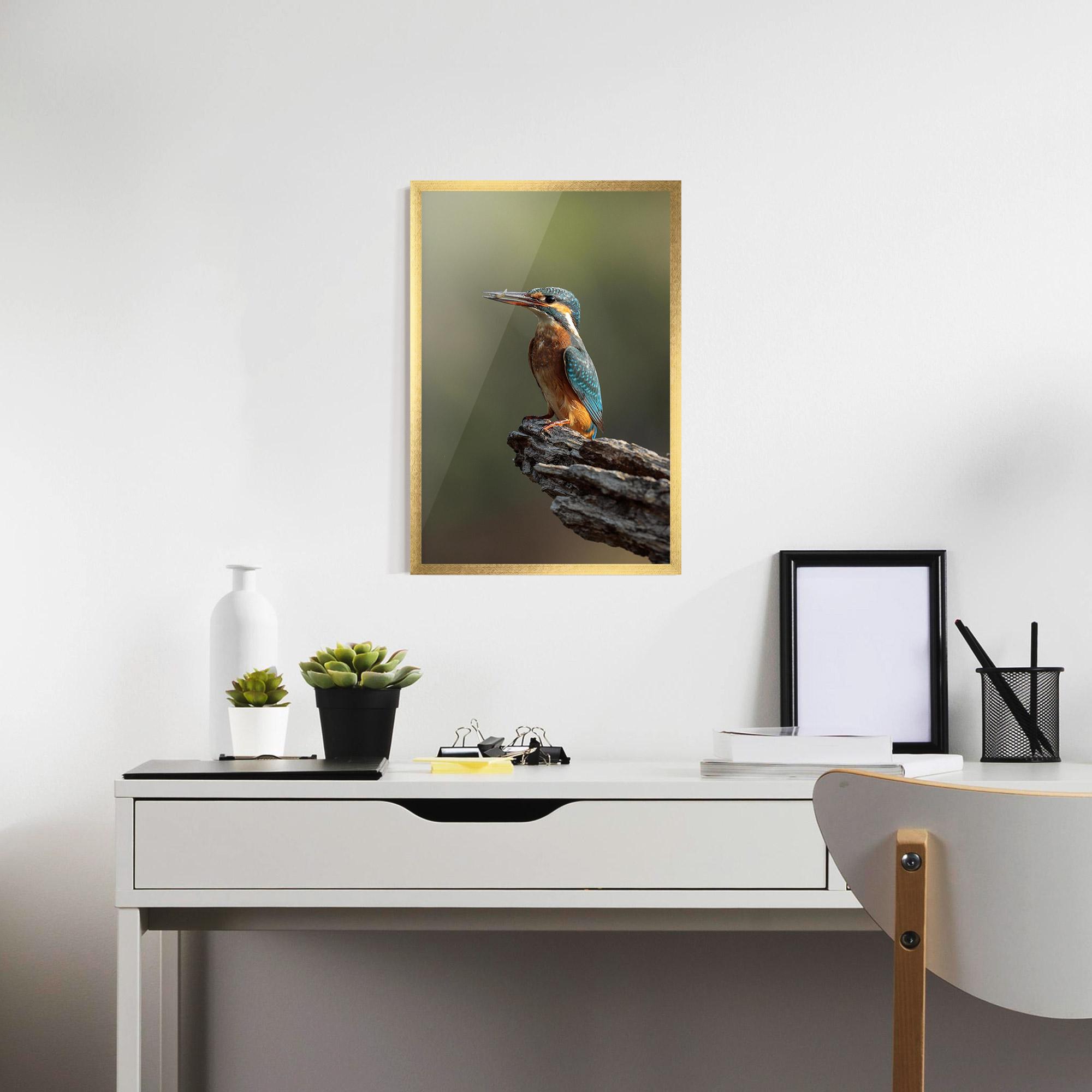 Plakat w Ramie Female Kingfisher mockup 7