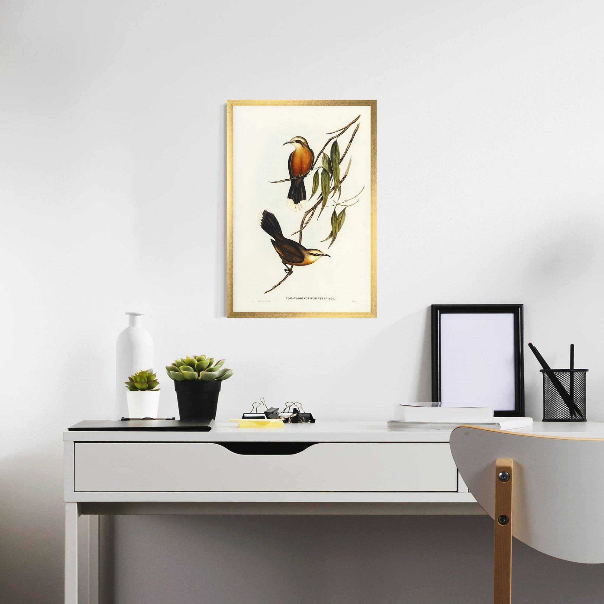 Plakat w Ramie Red Pomatorhinus mockup 7