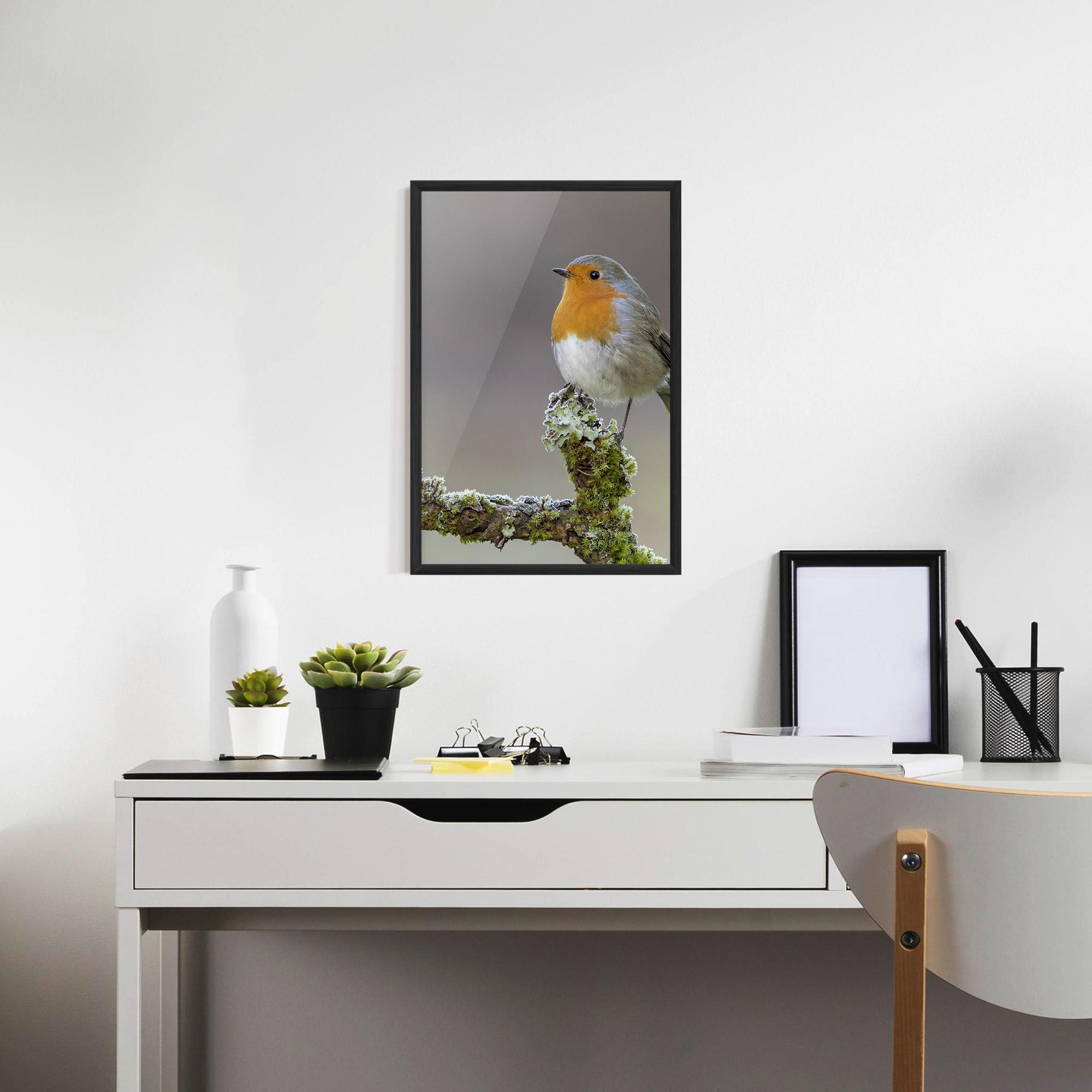 Plakat w Ramie Erithacus Bird mockup 7