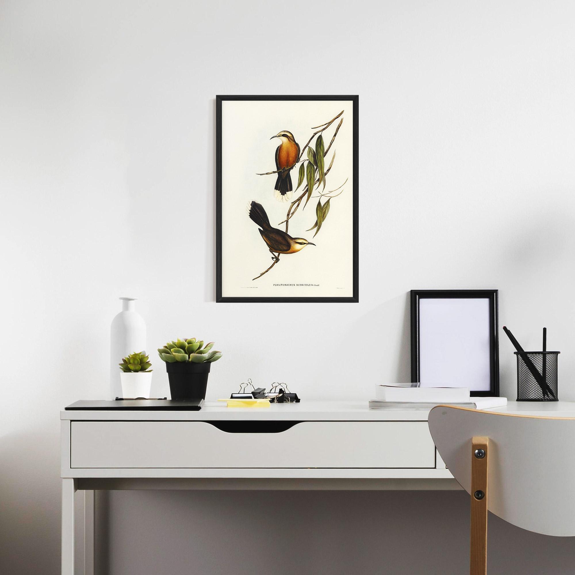 Plakat w Ramie Red Pomatorhinus mockup 7