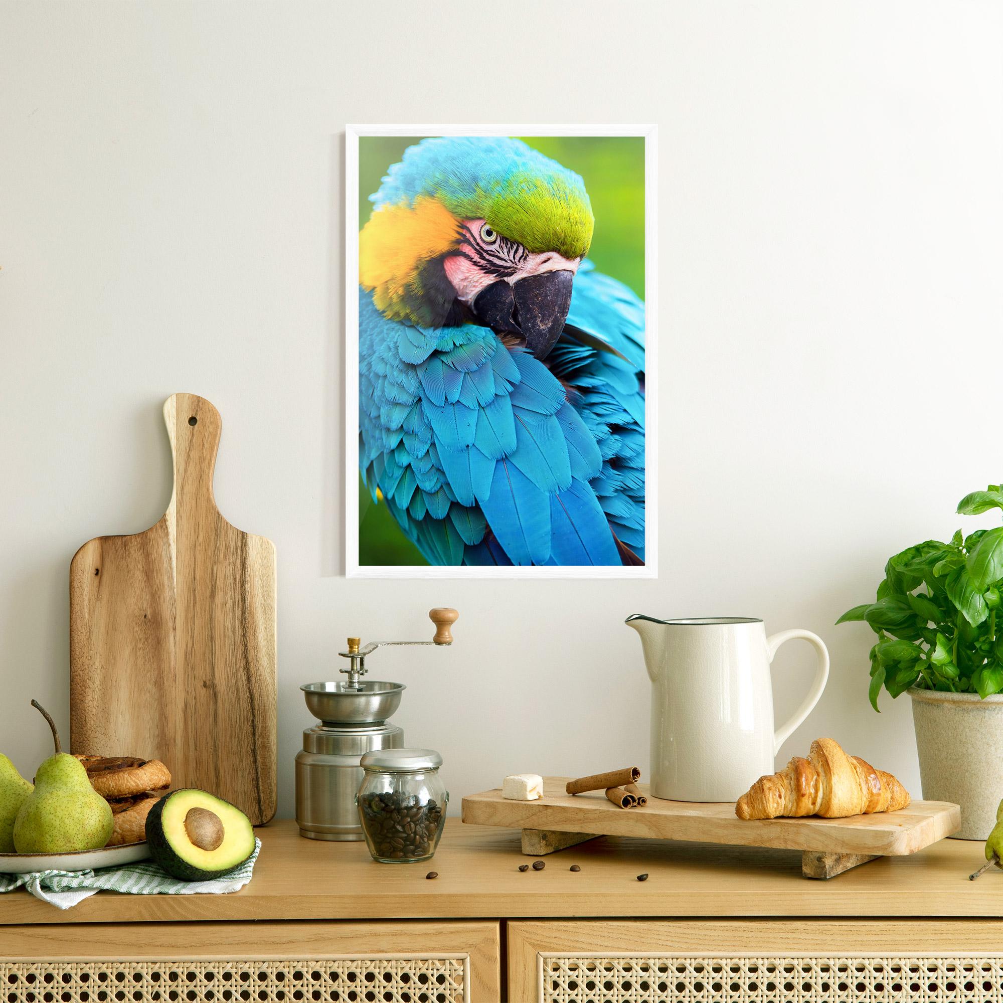 Plakat w Ramie Blue Parrot mockup 8
