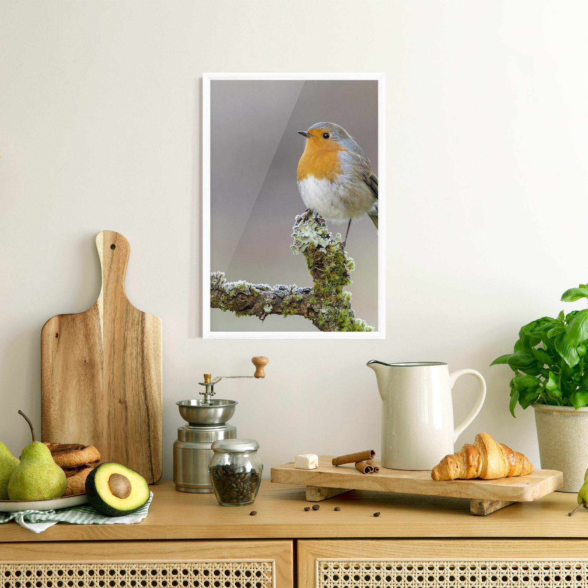 Plakat w Ramie Erithacus Bird mockup 8