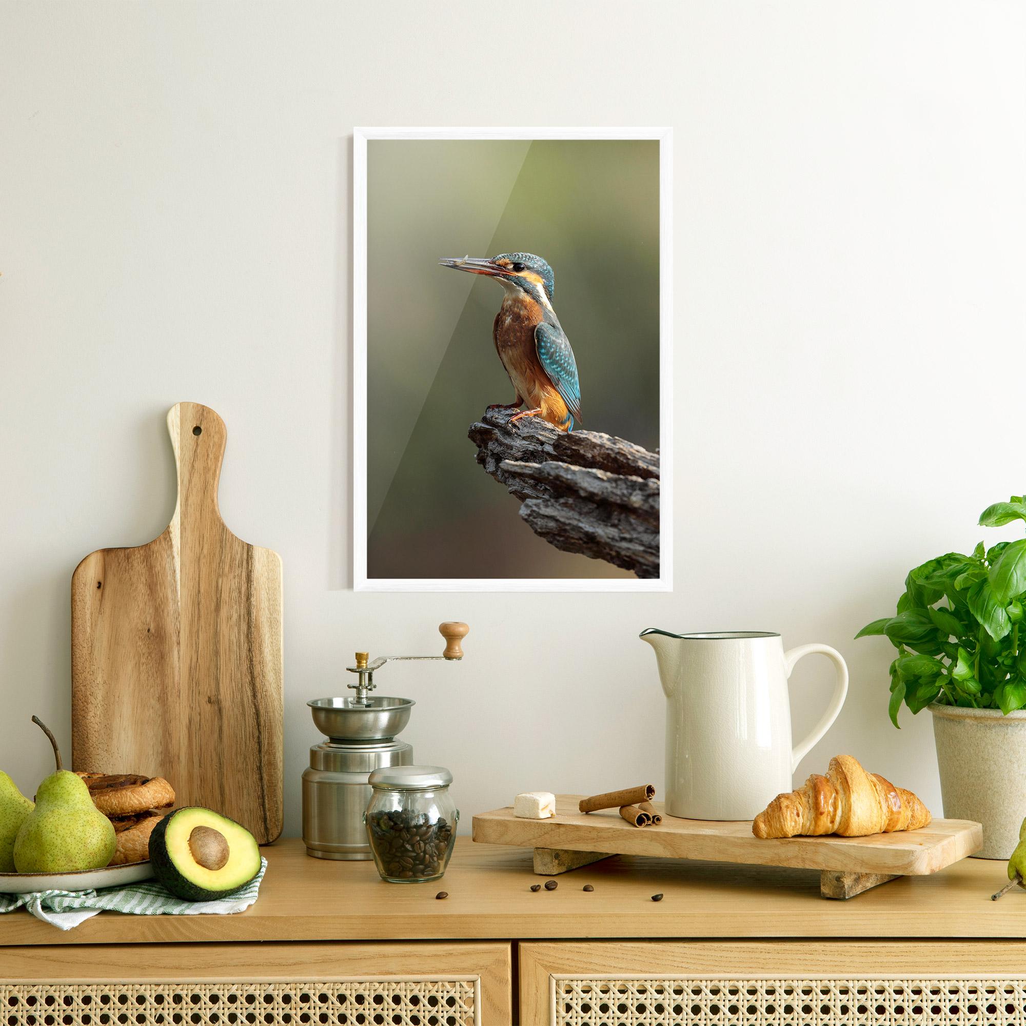 Plakat w Ramie Female Kingfisher mockup 8