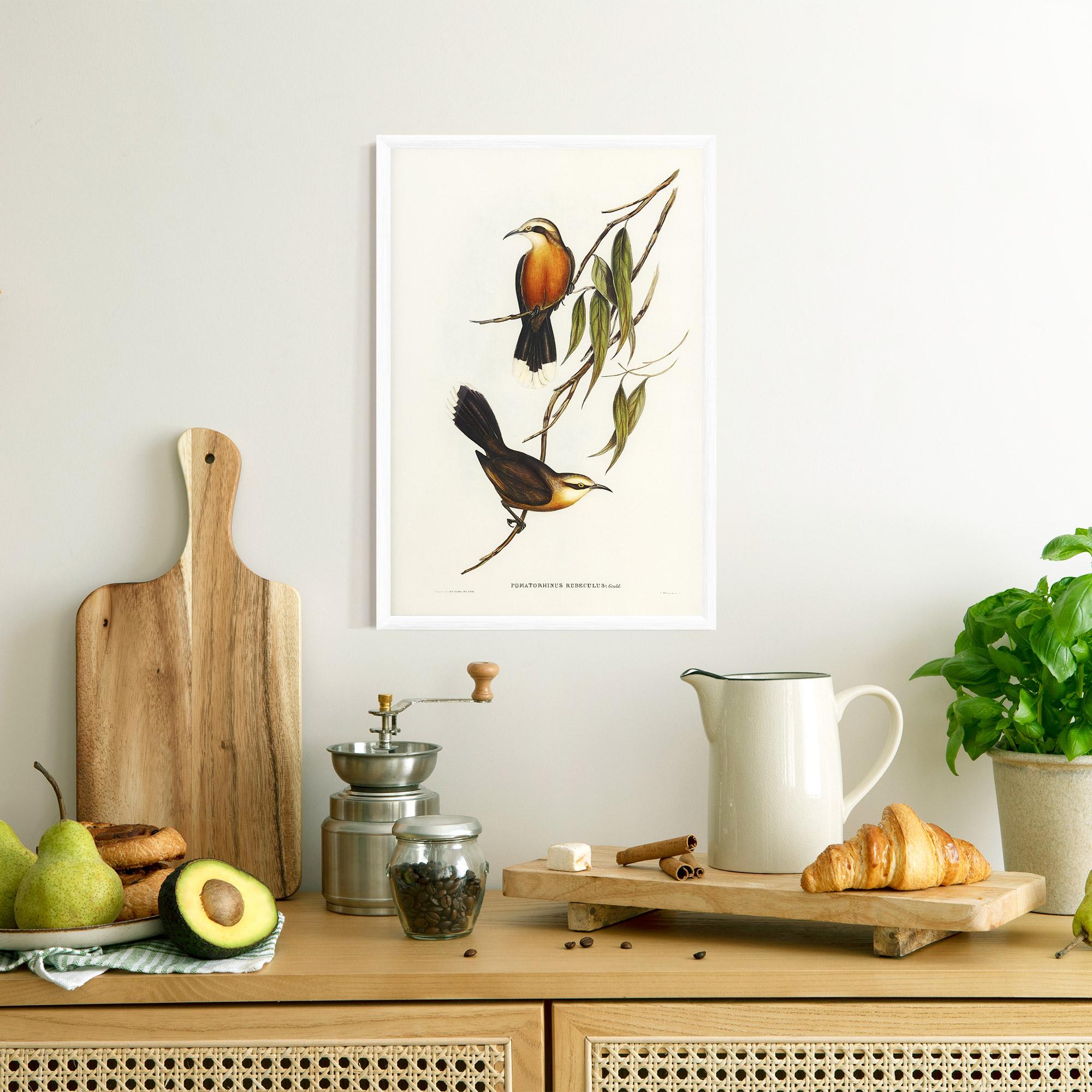 Plakat w Ramie Red Pomatorhinus mockup 8