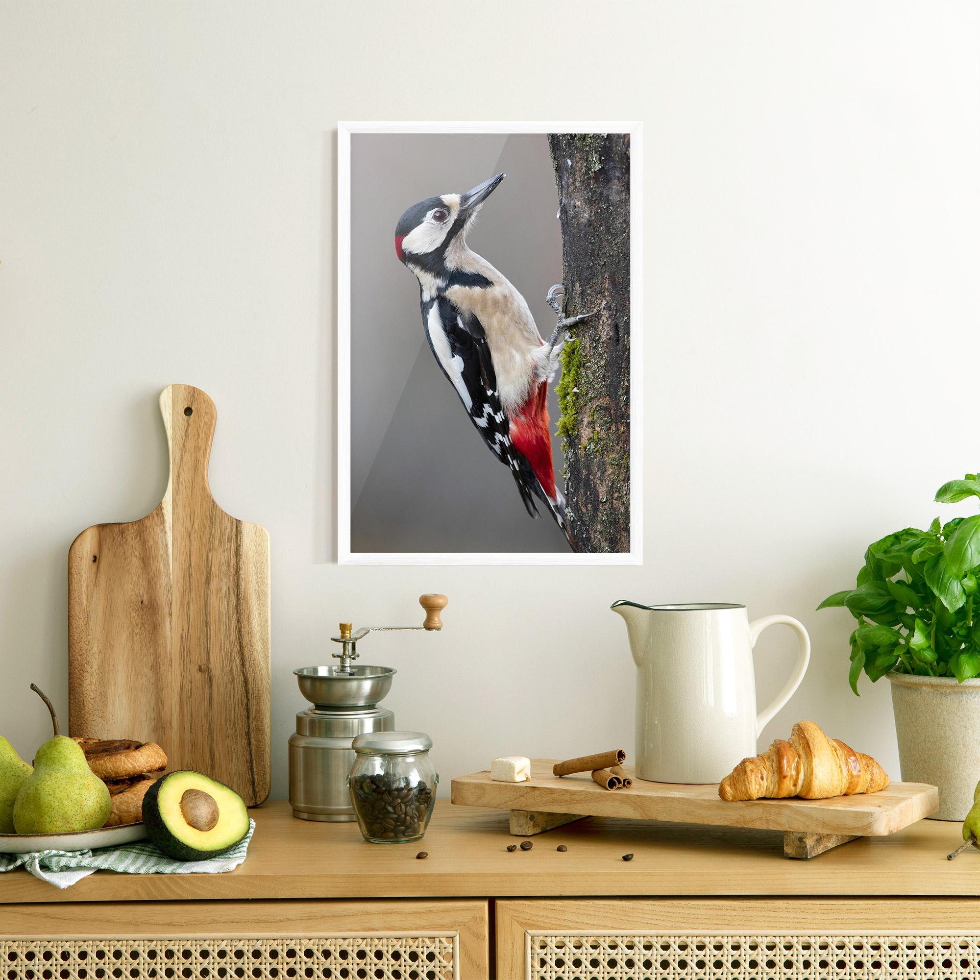 Plakat w Ramie Woodpecker mockup 8