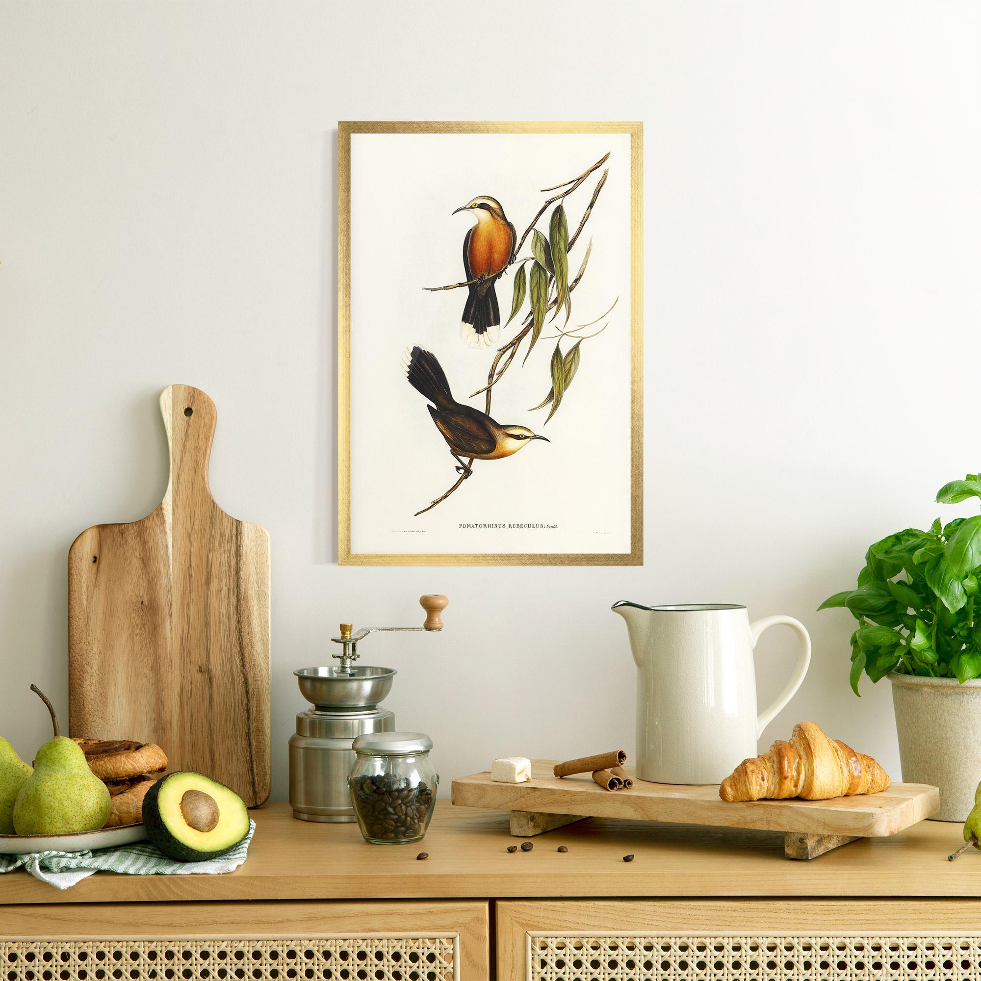 Plakat w Ramie Red Pomatorhinus mockup 8